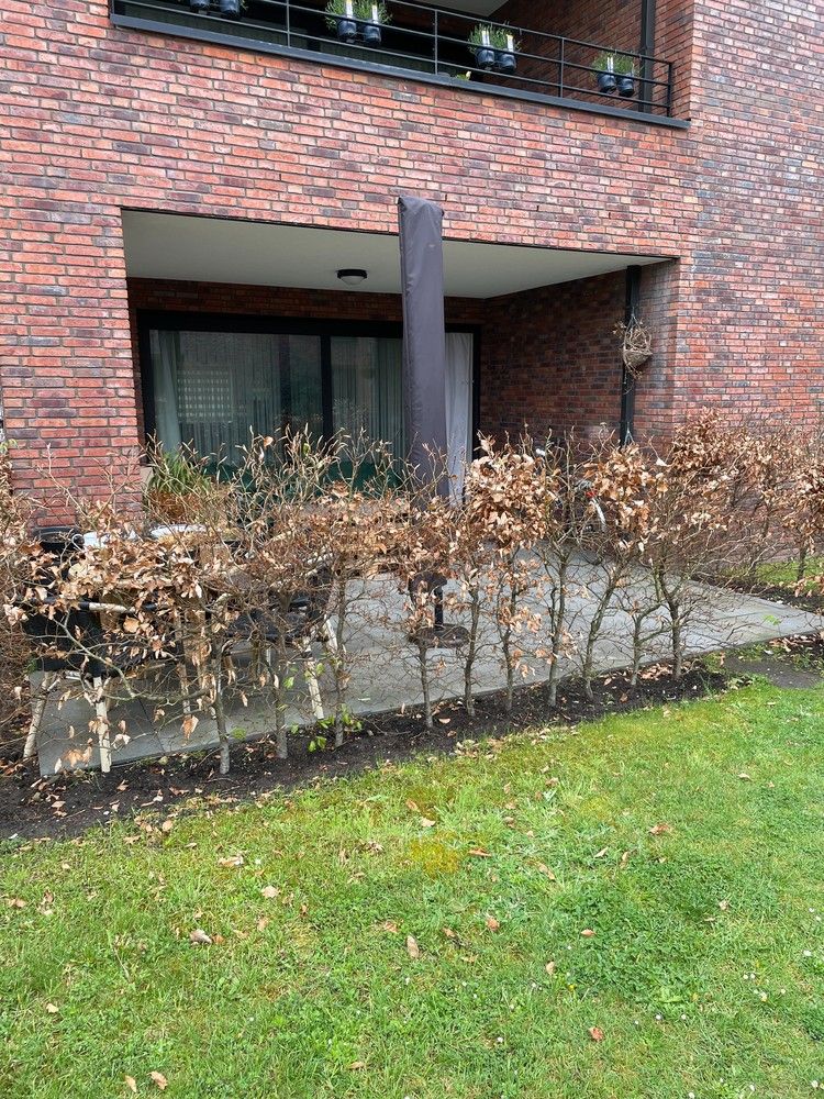 Appartement te huur foto 2
