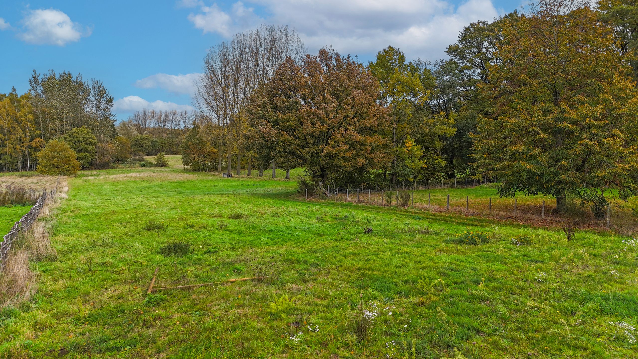 Prachtige woning met praktijkruime en paardenweide achteraan! foto 55