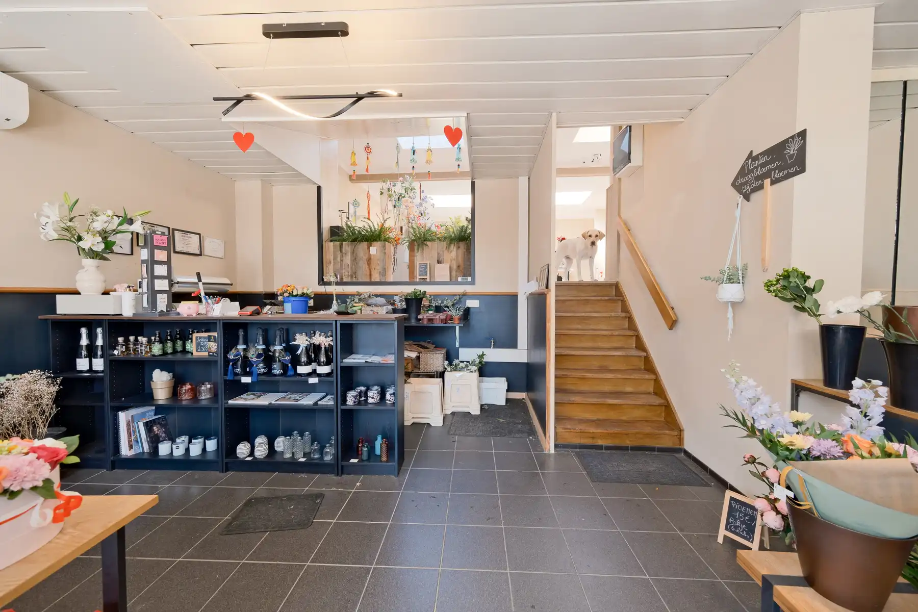 Gebouw te koop foto 6