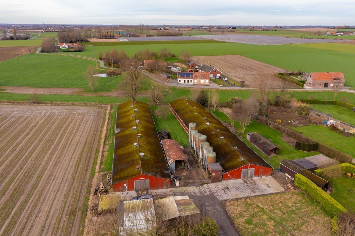 Hoeve te koop met vergunde functiewijziging te Diksmuide foto 2