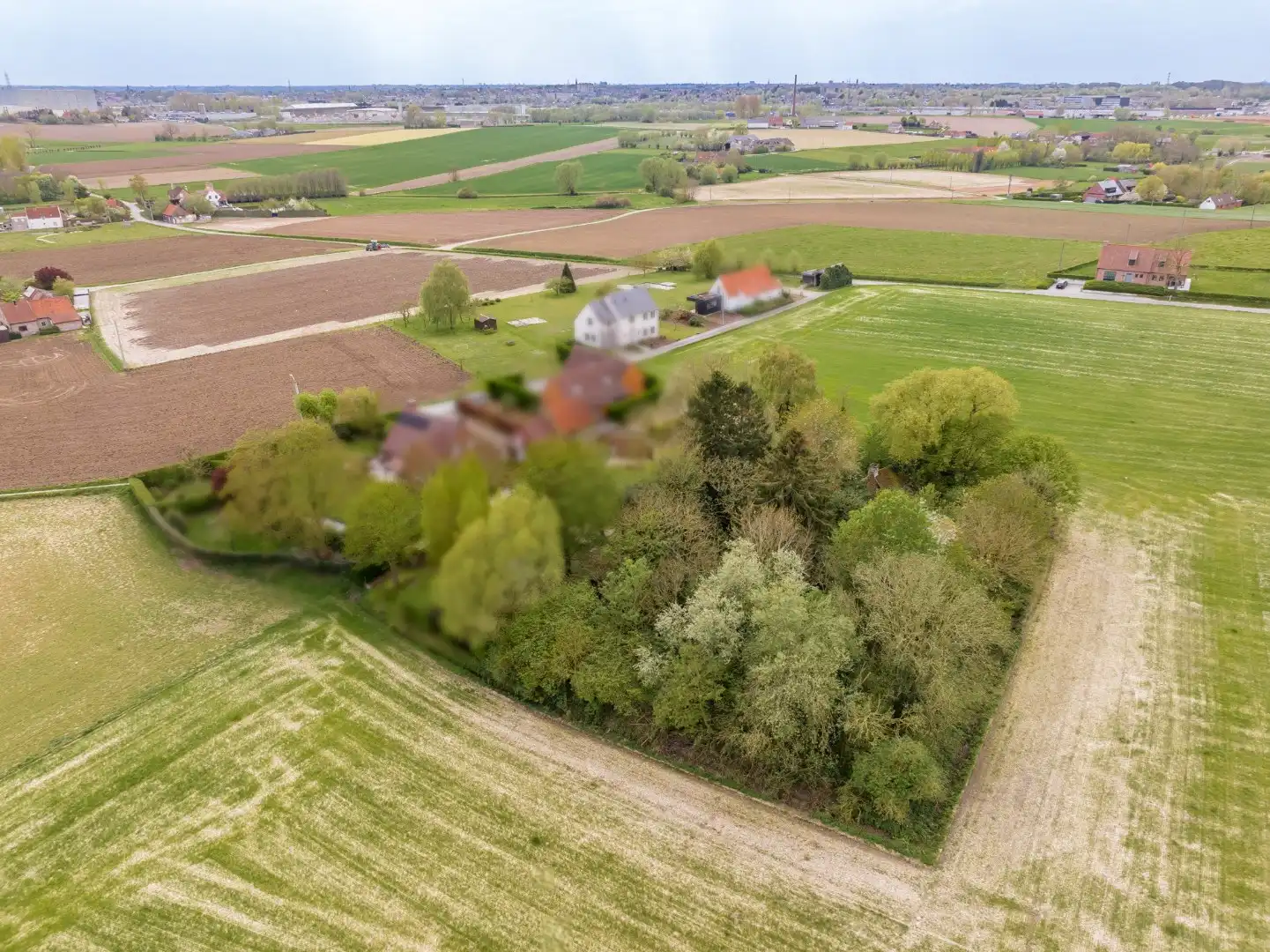 Charmant gelegen eigendom op een perceel van 2.390 m² te koop in het landelijke Rollegem foto 2