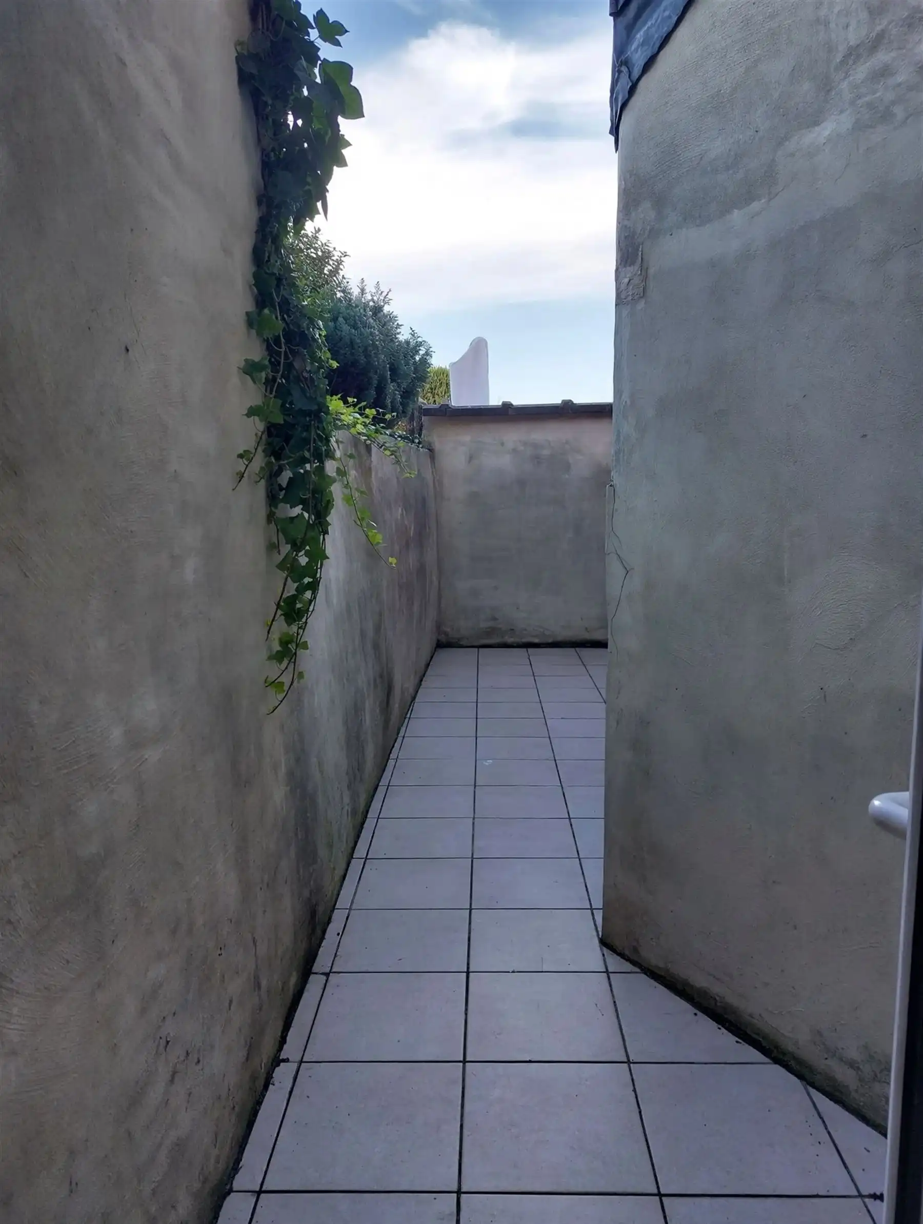 TE RENOVEREN RIJWONING MET KOER foto 9
