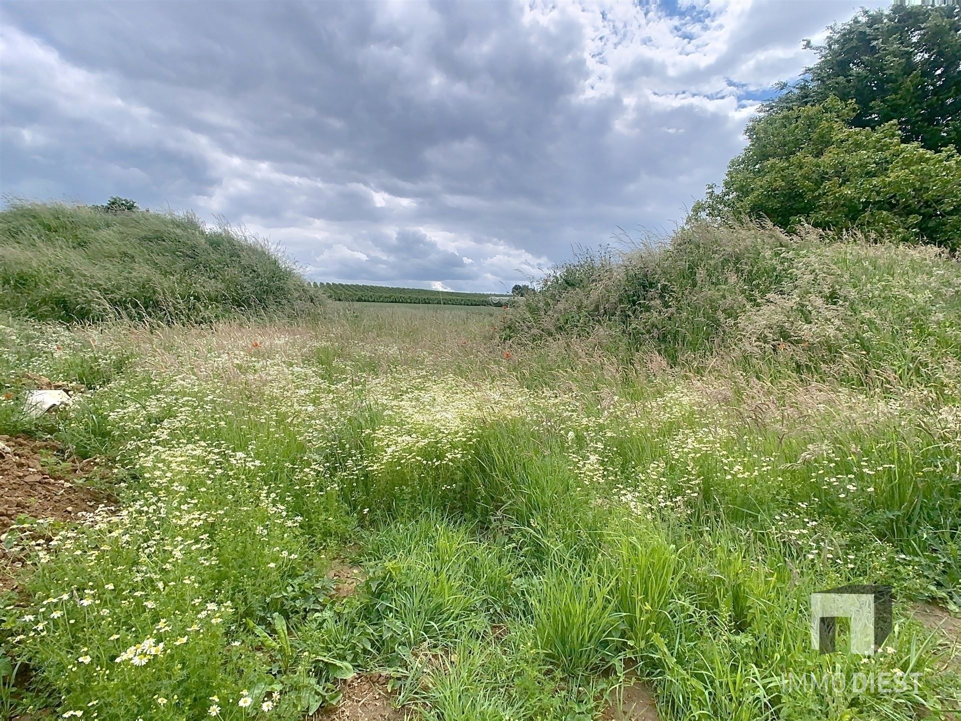 Luxueus wonen met zicht op velden in Bekkevoort foto 15