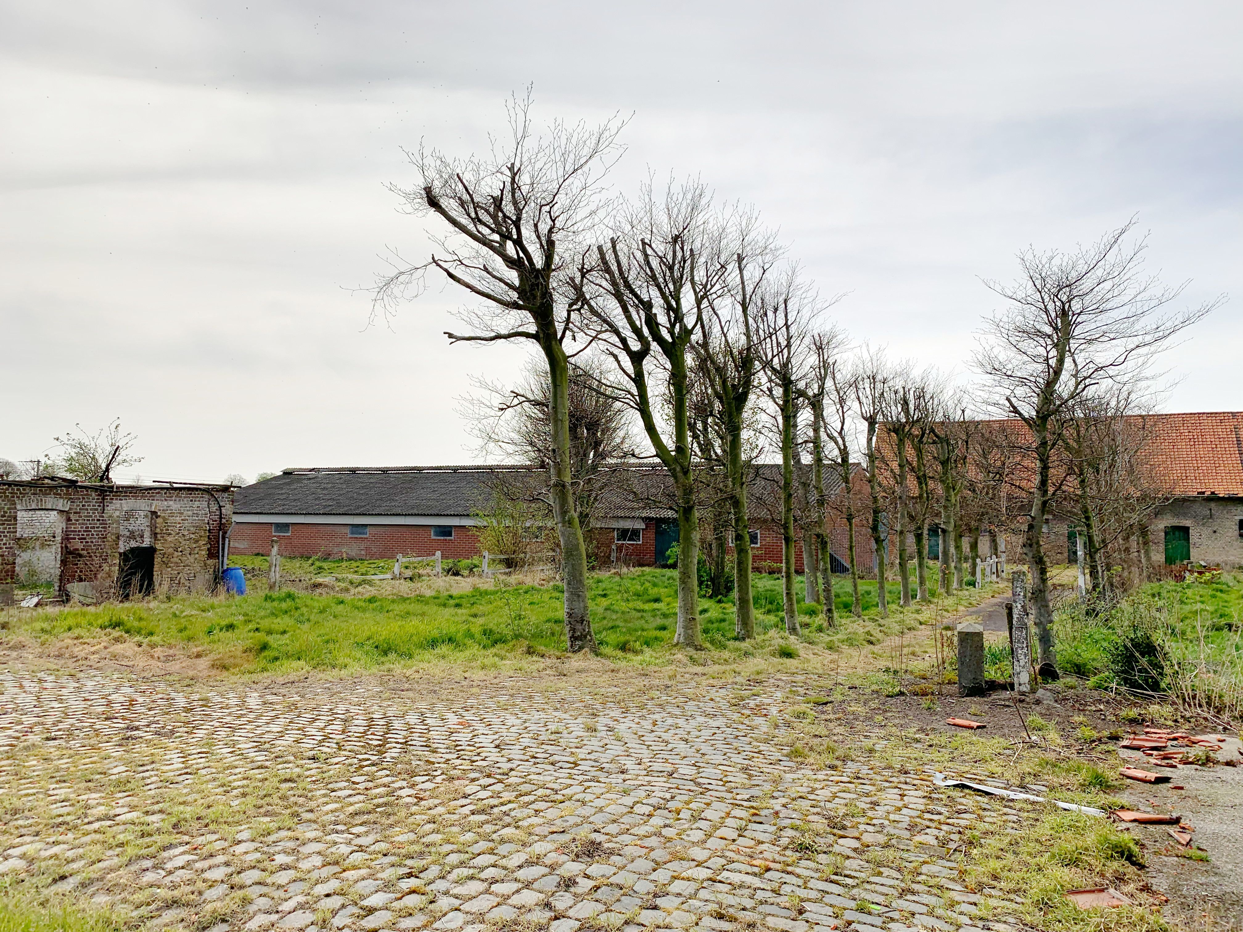 Idylissch gelegen hoeve met diverse bijgebouwen op 3ha foto 5