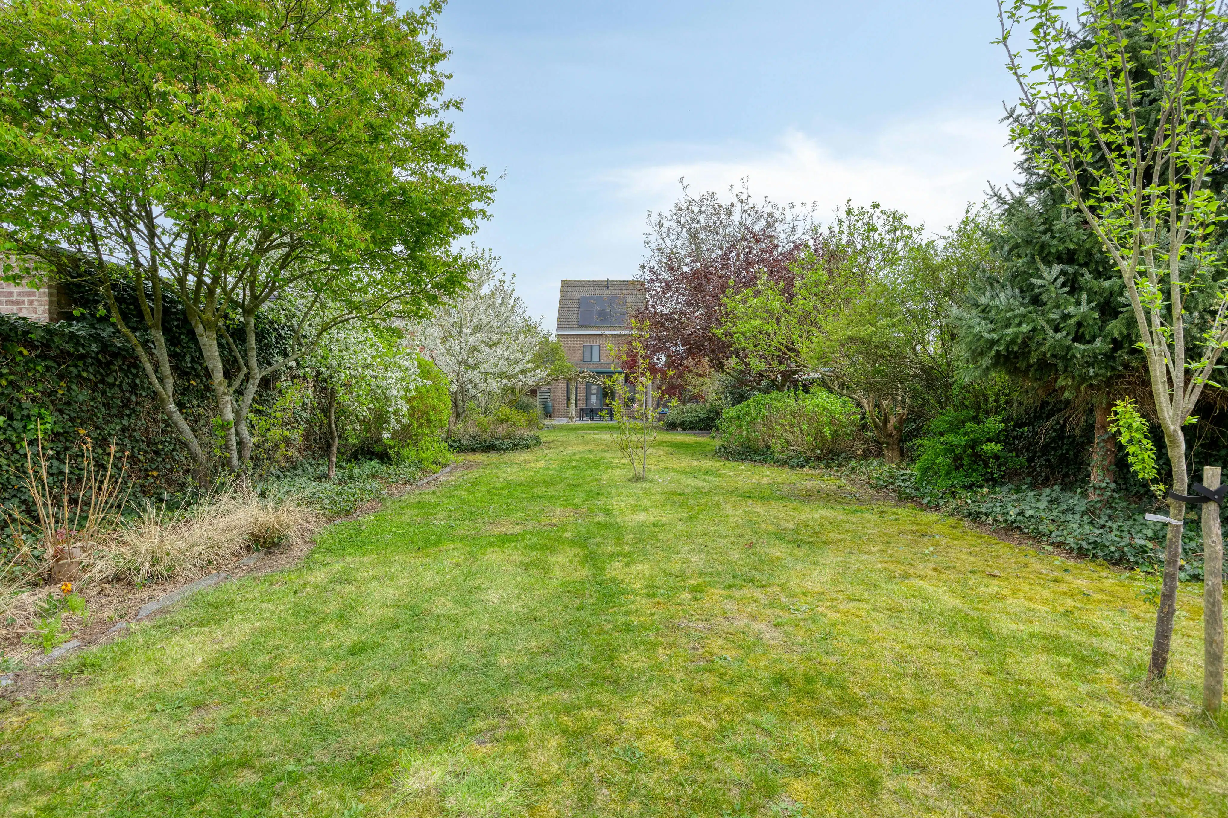 Instapklare woning met 4 slaapkamers te koop in Loenhout! foto 43