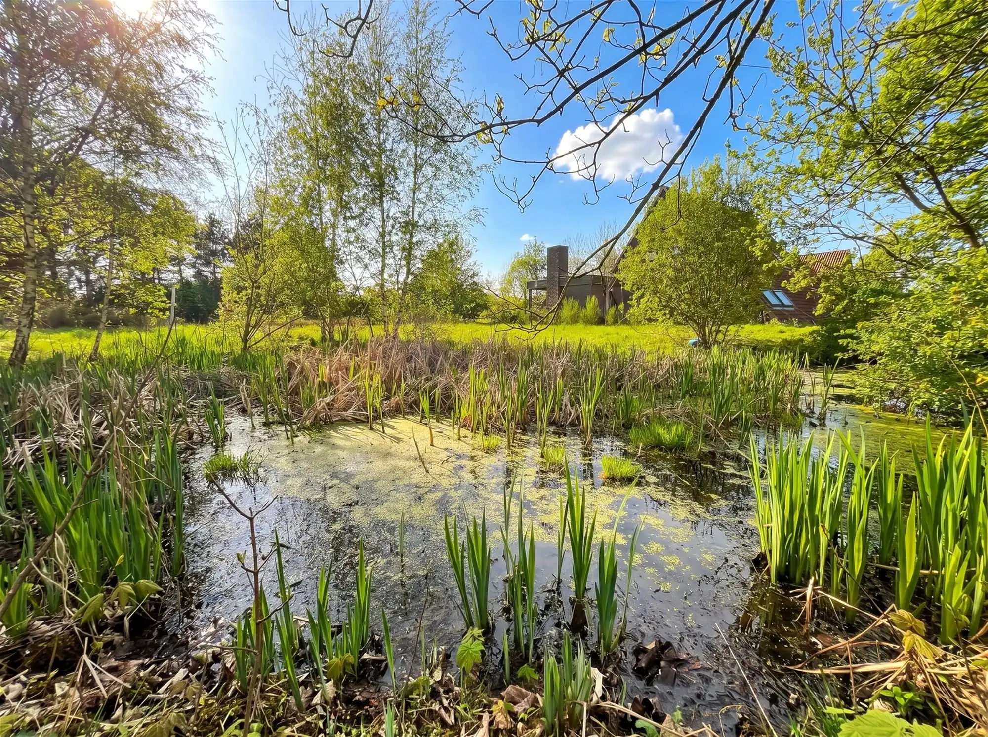 Te renoveren enorme villa (925 m² bewoonbaar) op 7874 m²  foto 7