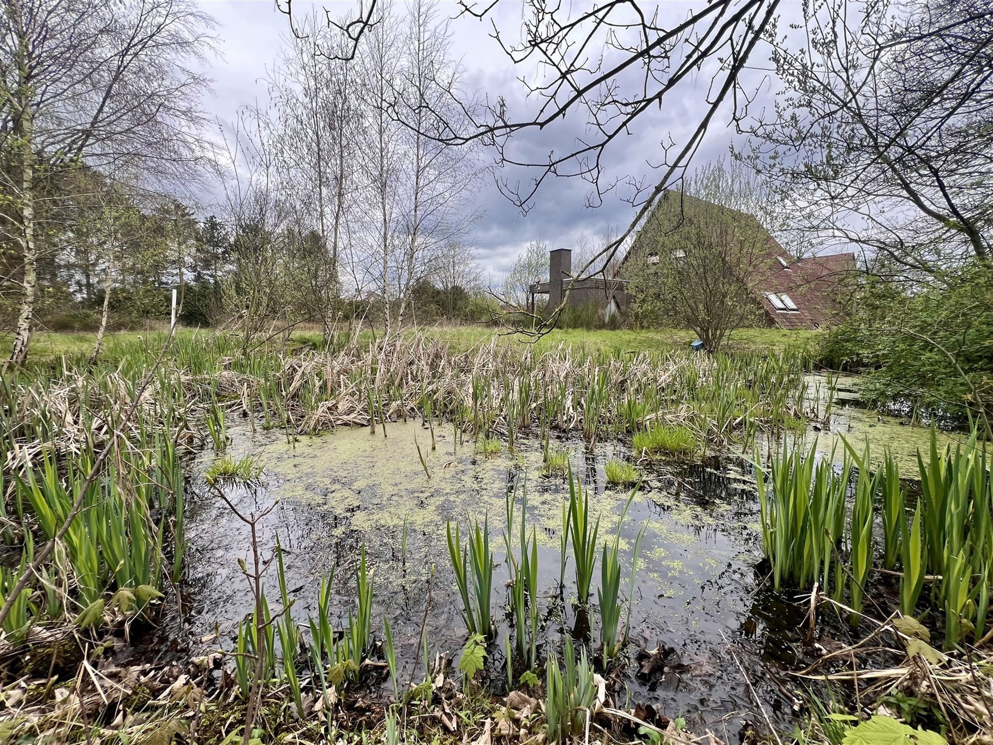 Te renoveren enorme villa foto 7