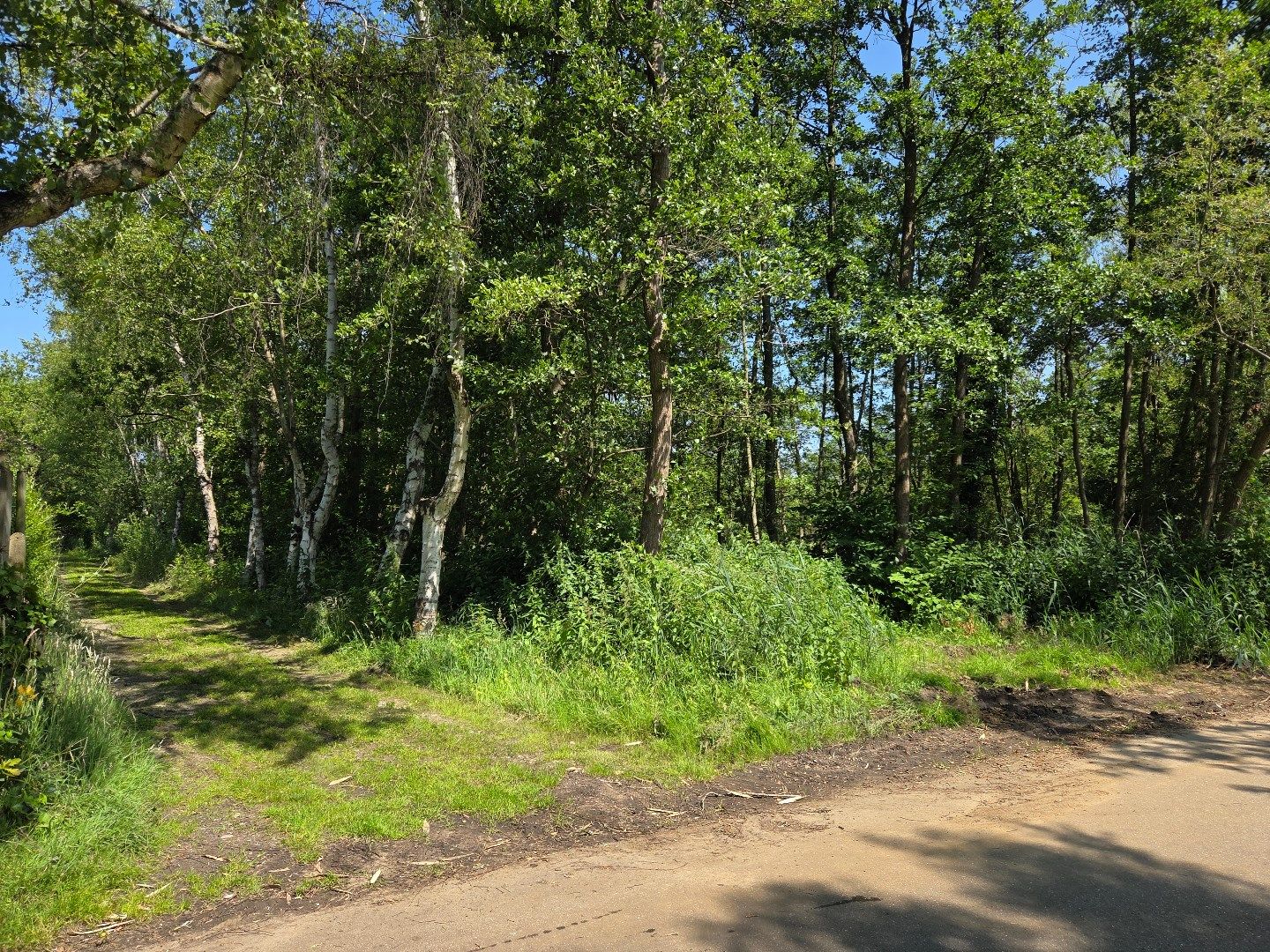 Perceel hooiland van 2.532 m² langs de Ring in Mol ! foto 8