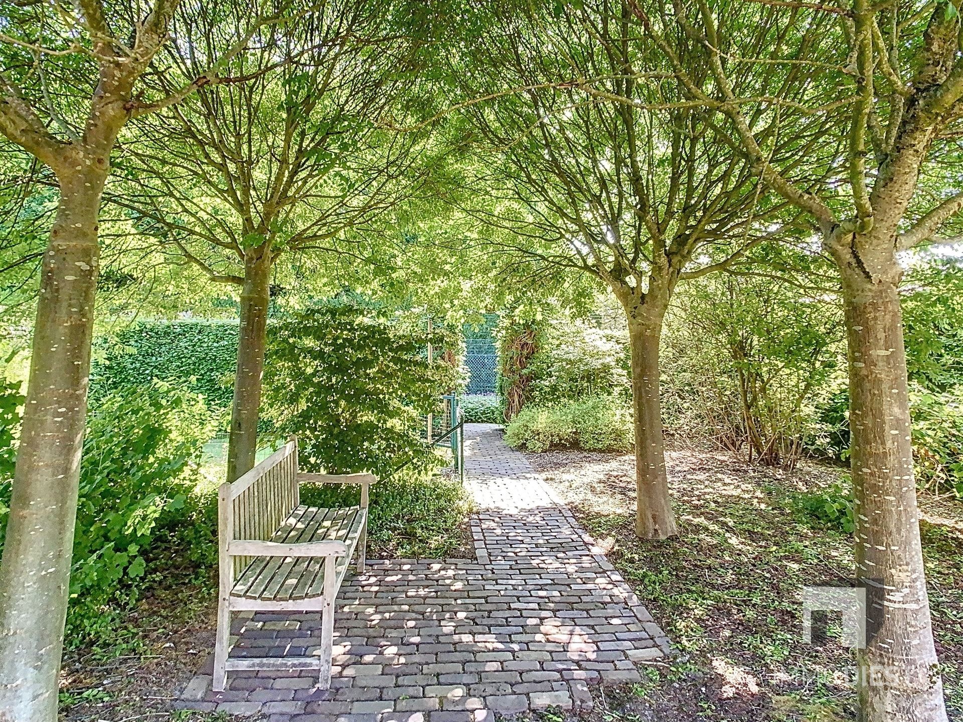 landelijke woning op 10,71are dicht bij centrum Tessenderlo foto 39