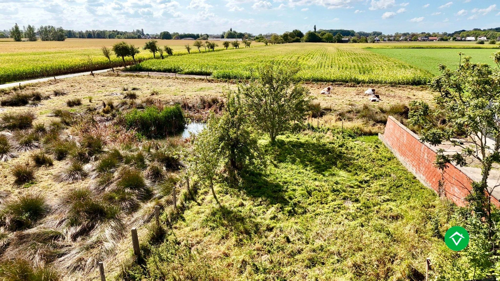Te renoveren of te slopen woning op ruim perceel van 854 m² in Ichtegem - ideale opportuniteit voor wie wil bouwen of renoveren in een landelijke omgeving. foto 19