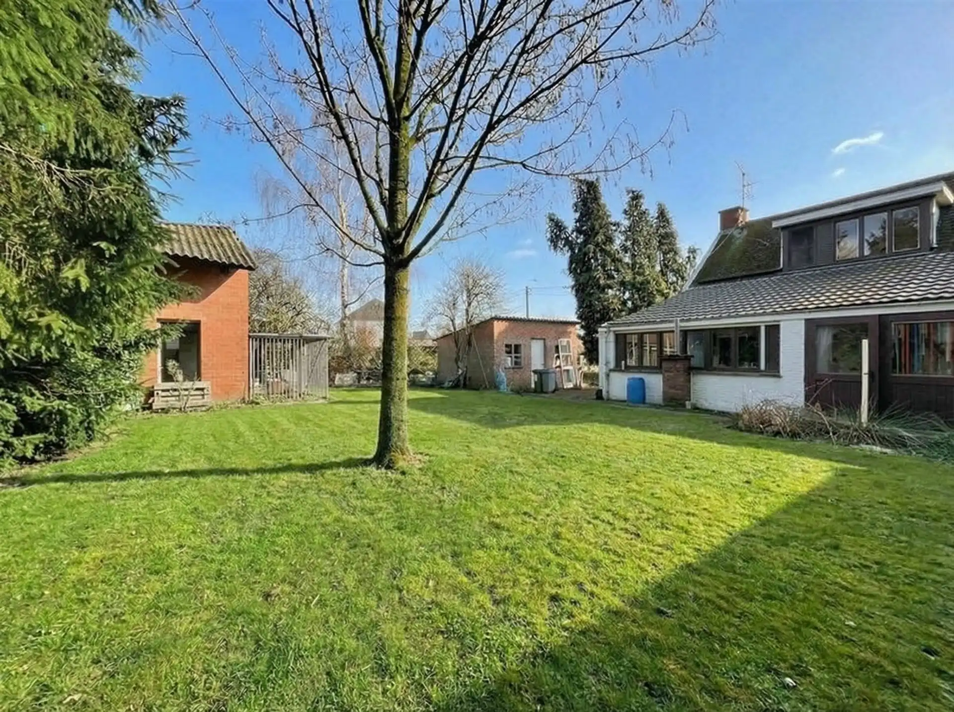 te renoveren woning met schuur op prachtig perceel bouwgrond van 2.230m² foto 5