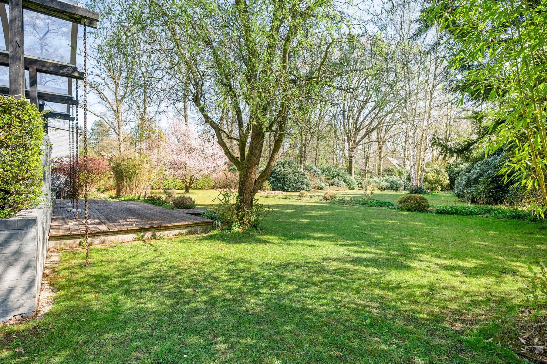 Laagbouwvilla op domein van 4.953 m² foto 6