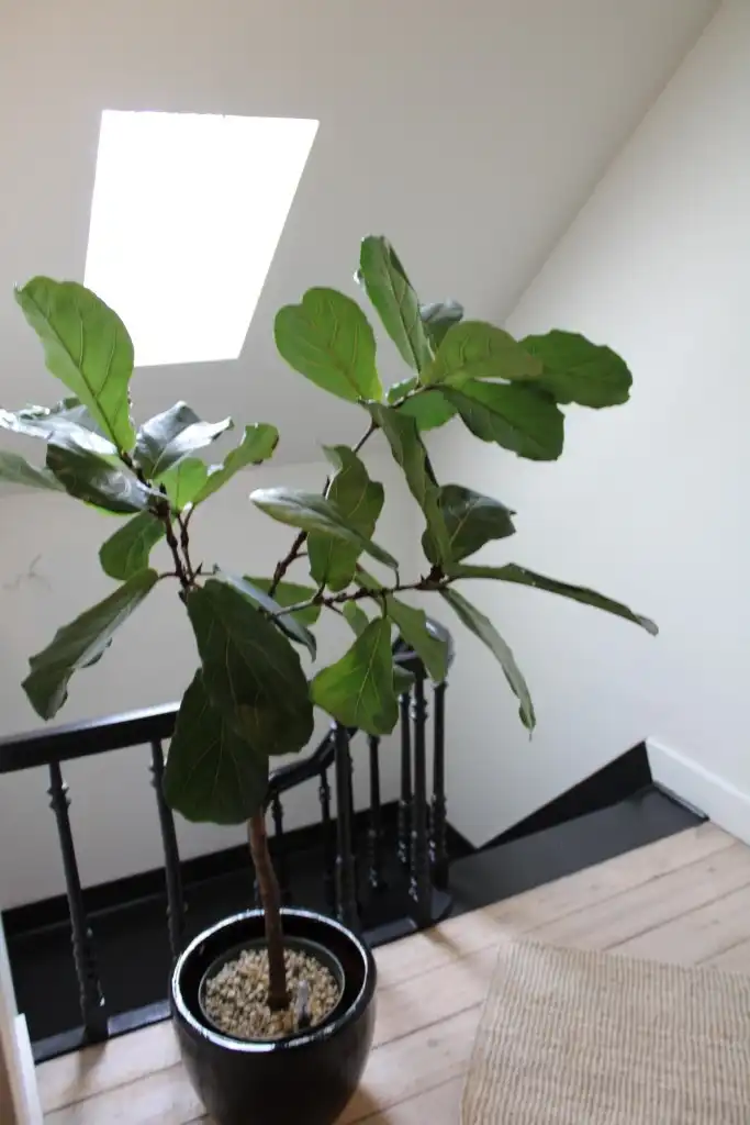 Zeer mooie en gezellige woning op gunstige ligging foto 18
