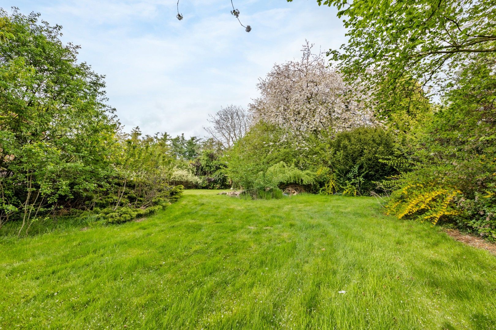 BUNGALOW MET POTENTIEEL OP TOPLOCATIE 23a97ca foto 8