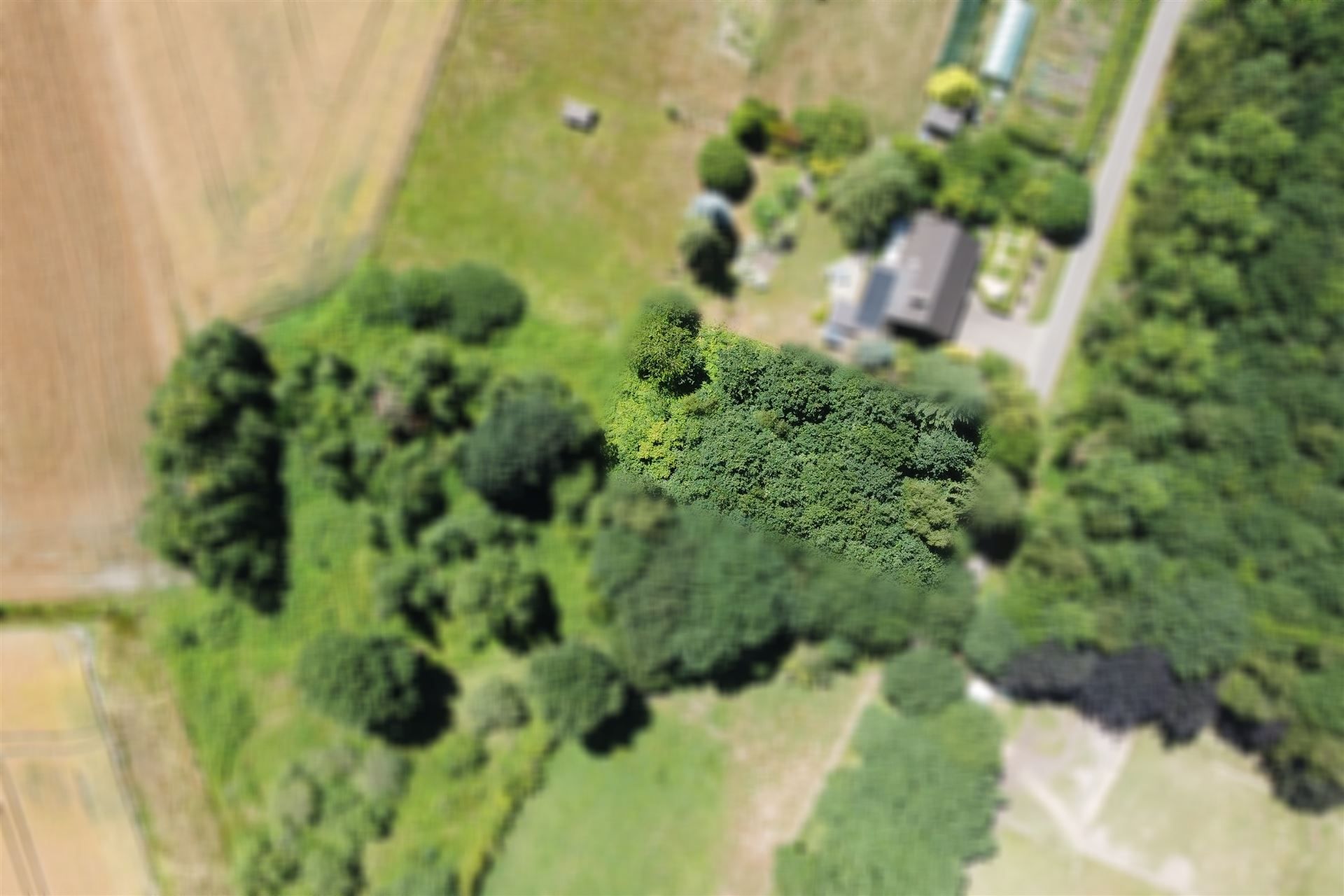 Bouwgrond voor een halfopen bebouwing omringd door groen. foto {{pictureIndex}}