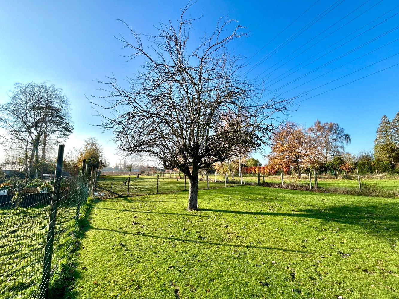 Degelijke, te renoveren half open bebouwing op ruim perceel. foto 7