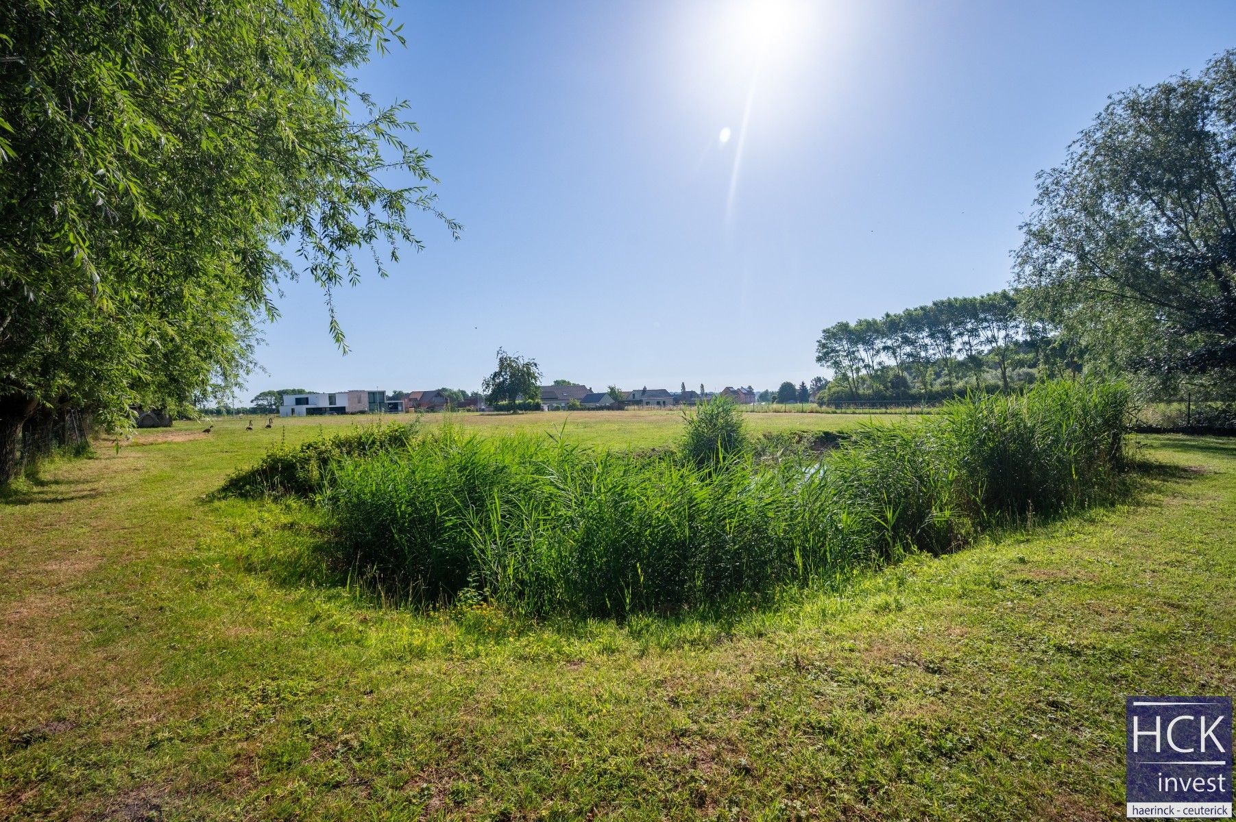 KRUISHOUTEM - Perceel weiland 1,1ha ideaal voor paardenliefhebber! foto 4