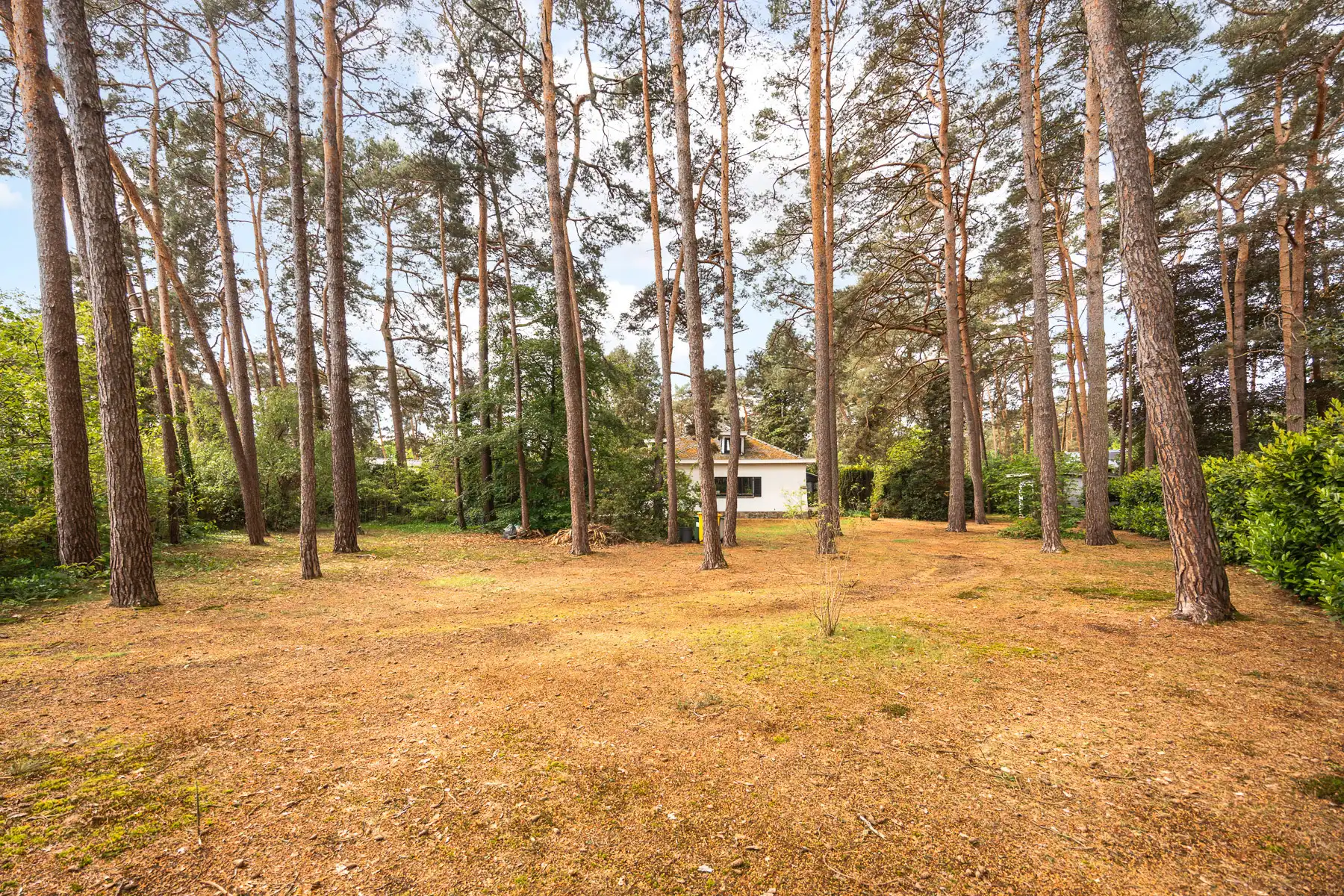 Te renoveren open laagbouwwoning op 2.497 m² te Tremelo foto 28