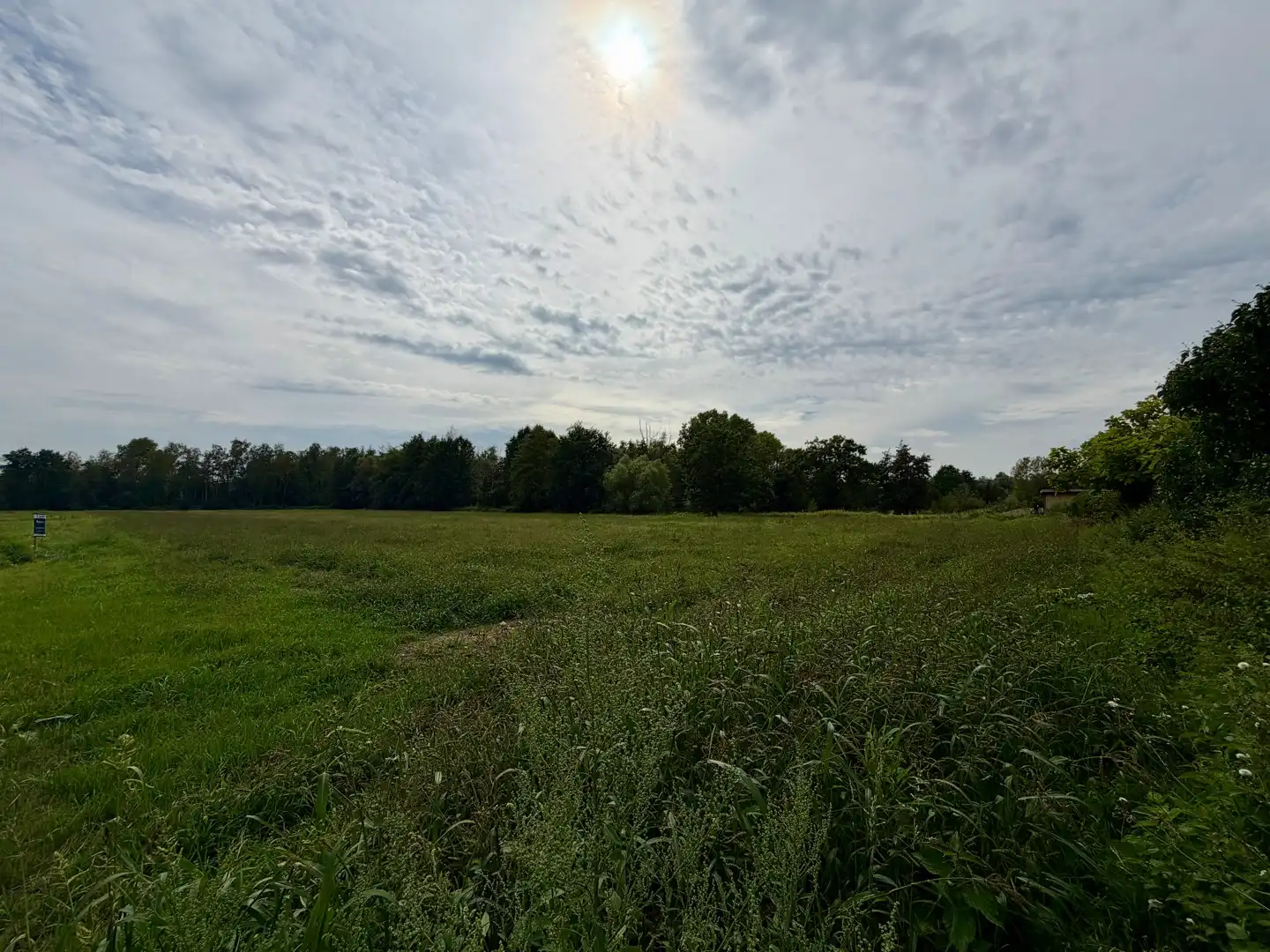 Goed gelegen landbouwgrond te Mol, Elsenstraat foto 3