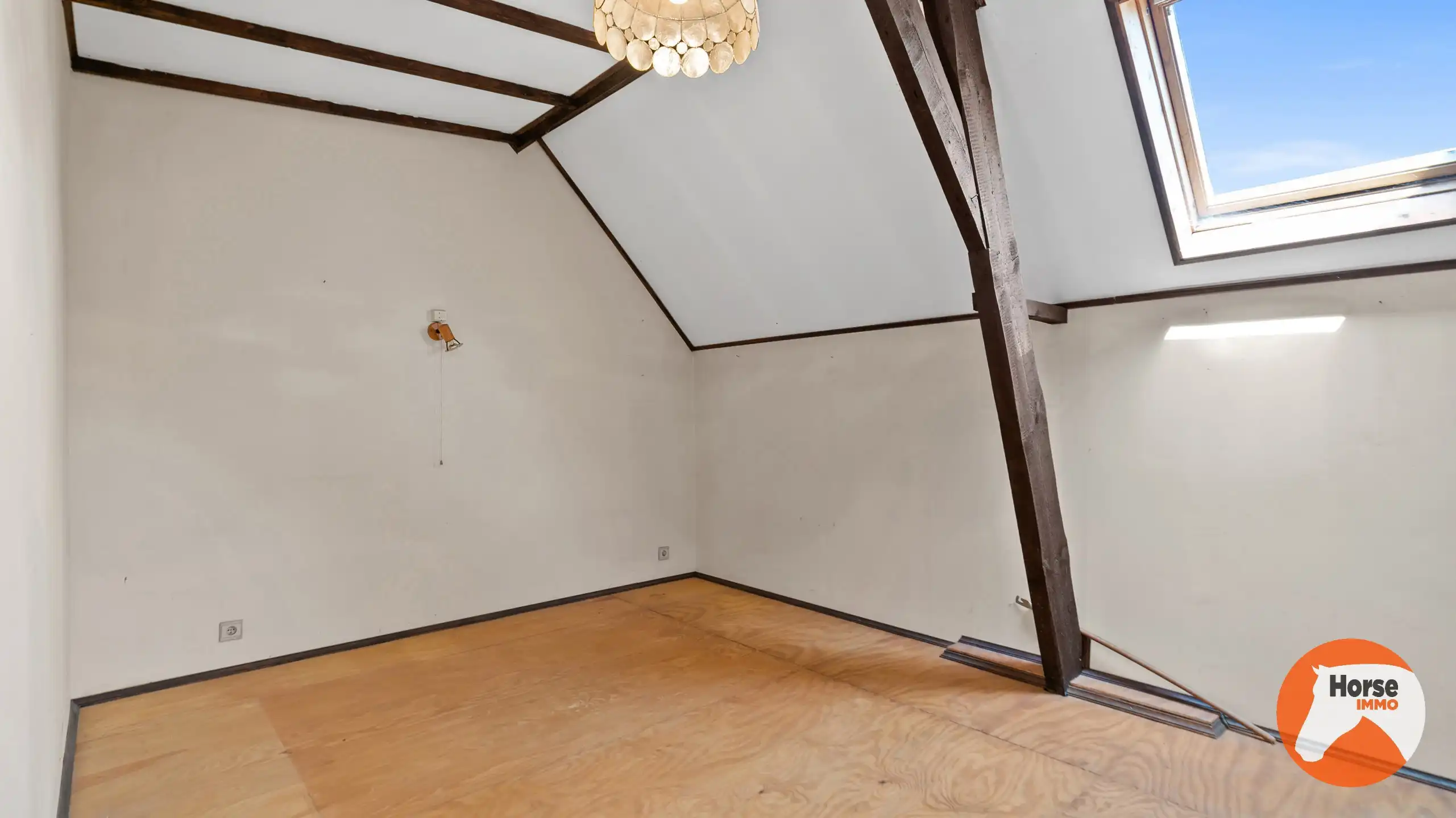 ZOTTEGEM - Te renoveren woning op ruim perceel van ca 45a foto 16