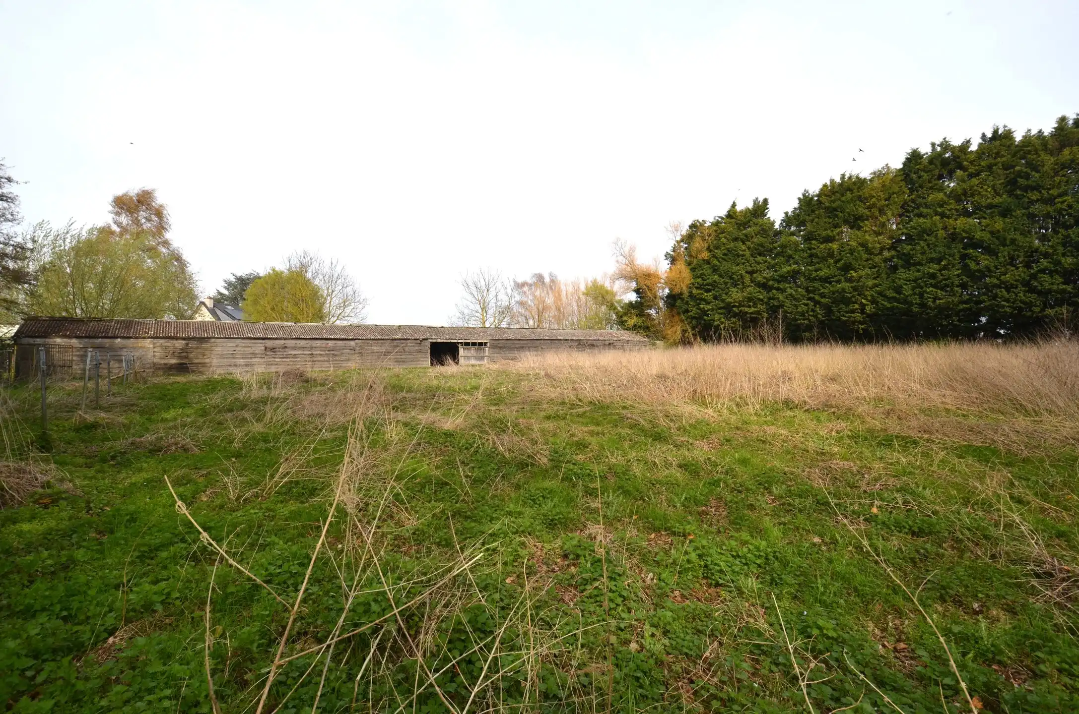 Magazijn met bijhorende weiland foto 7