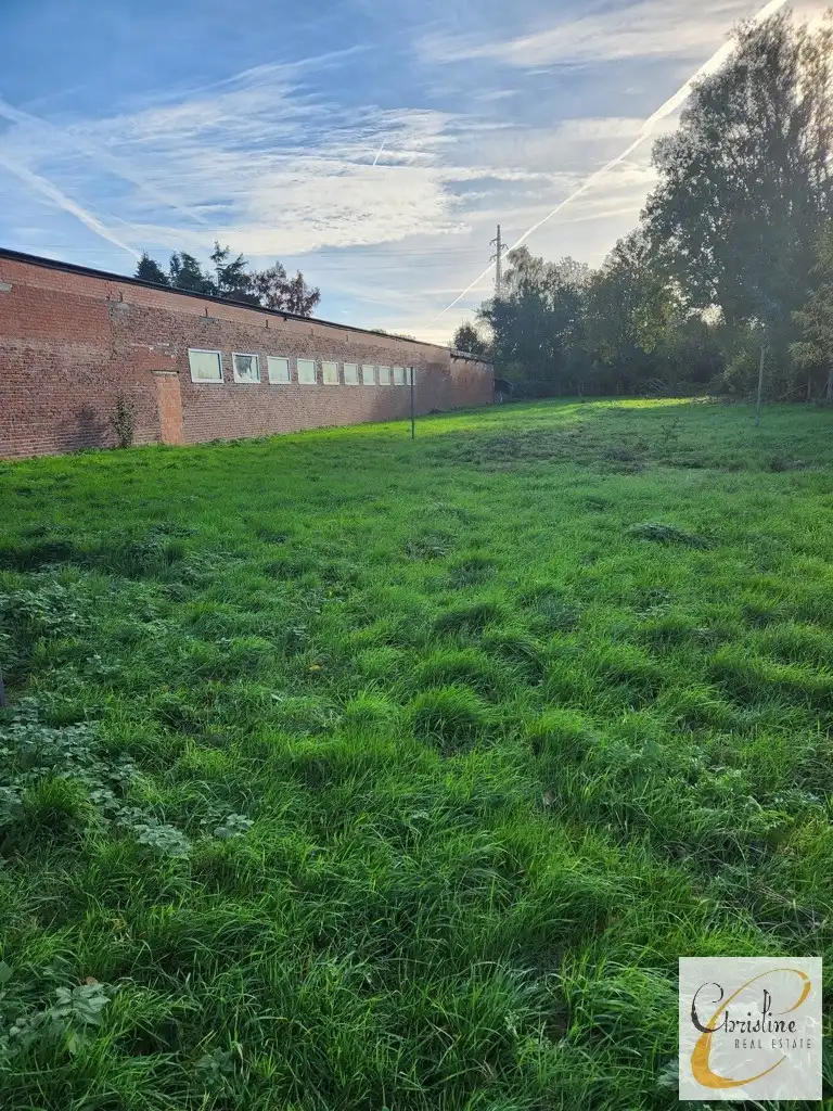 Project Welle foto 3