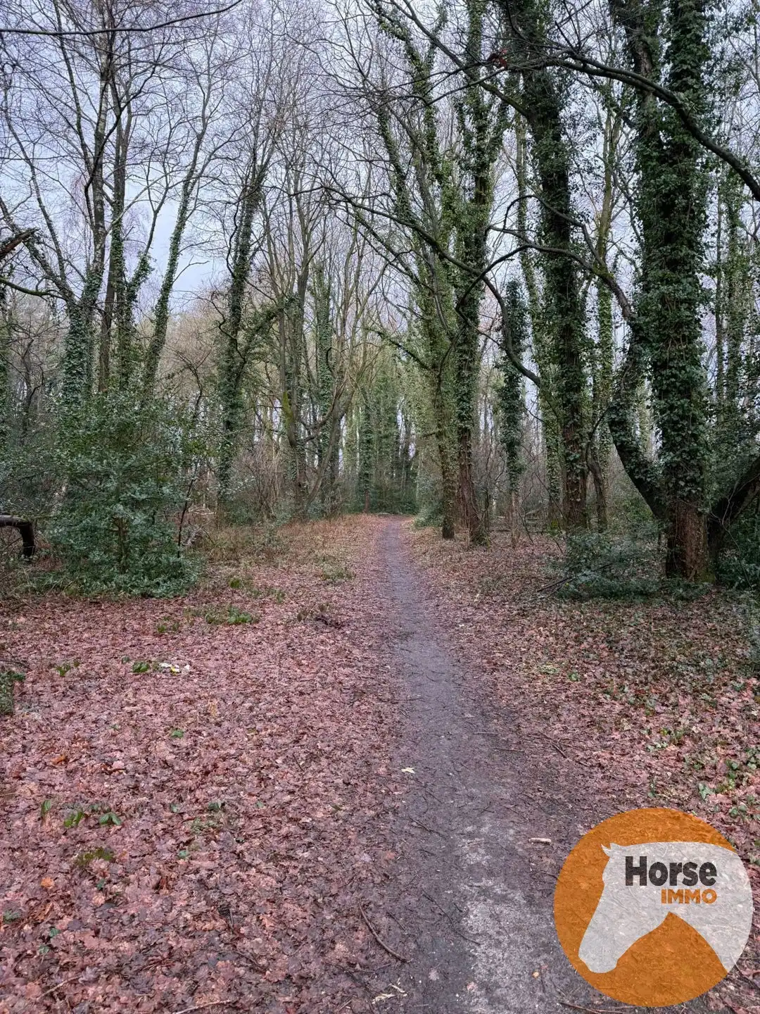 OPGLABBEEK - Gezinswoning met tuin, weide en paardenstallen  foto 30