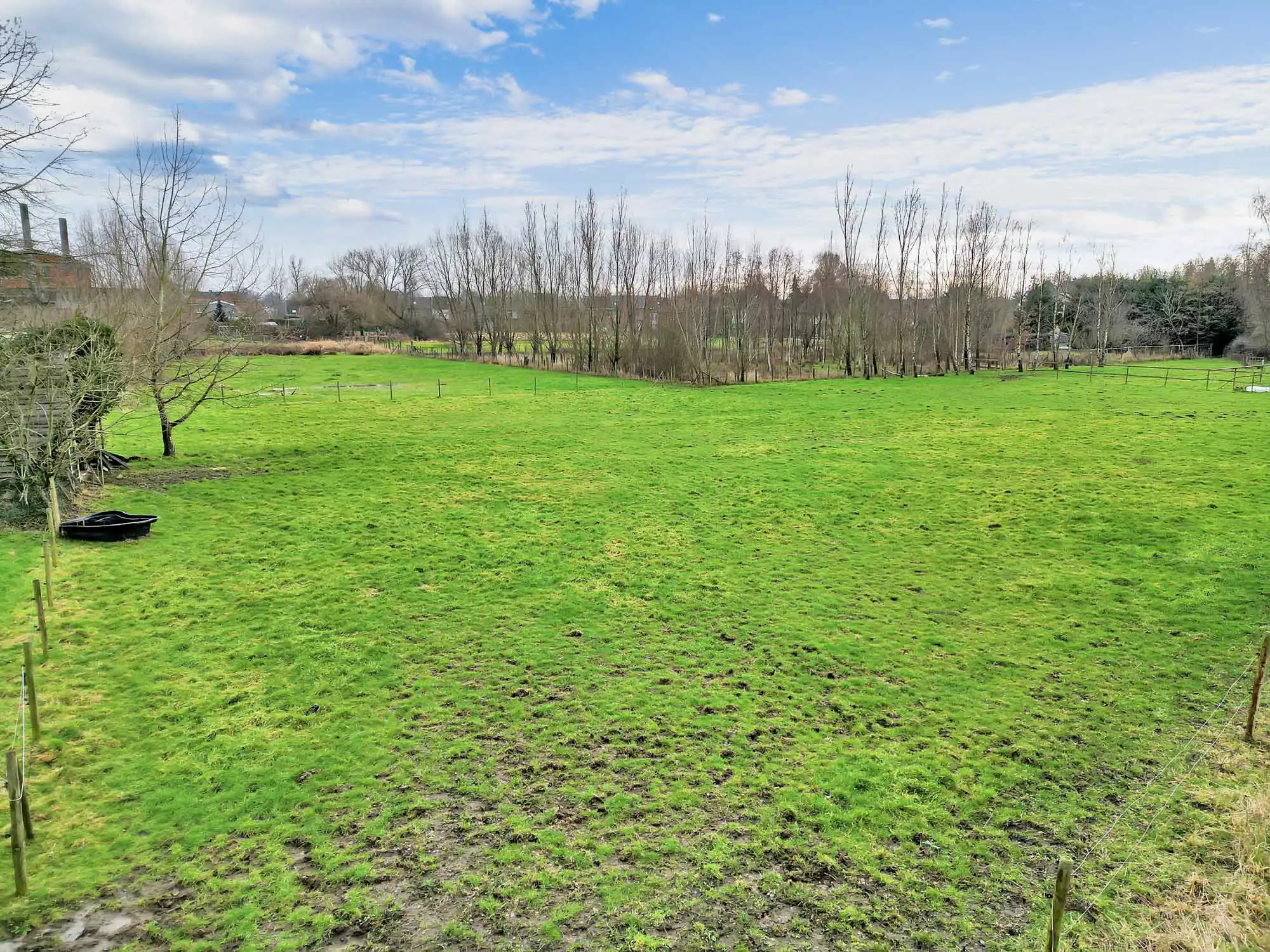Weide met topligging op bijna 1,5ha foto 13