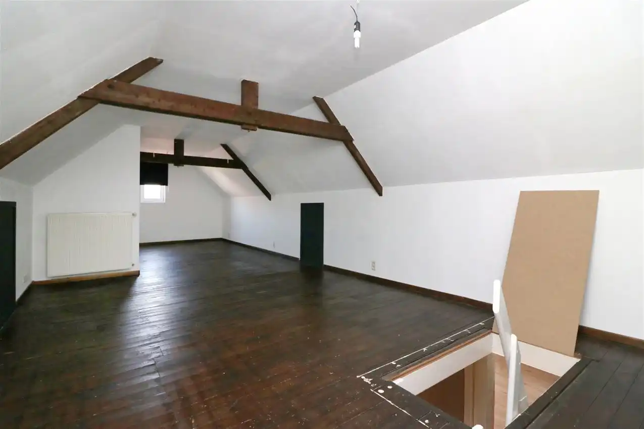 charmant, ruim, mogelijkheid beroep of kangoeroe foto 23