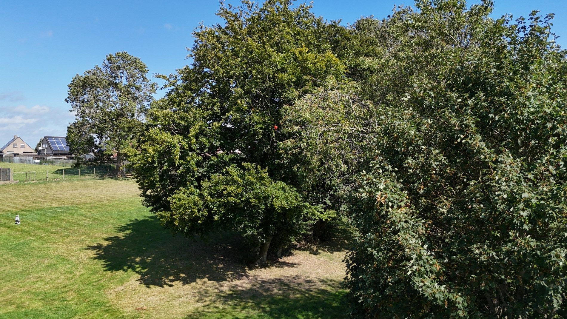 Lot bouwgrond gelegen in het centrum van Houthulst  foto 17