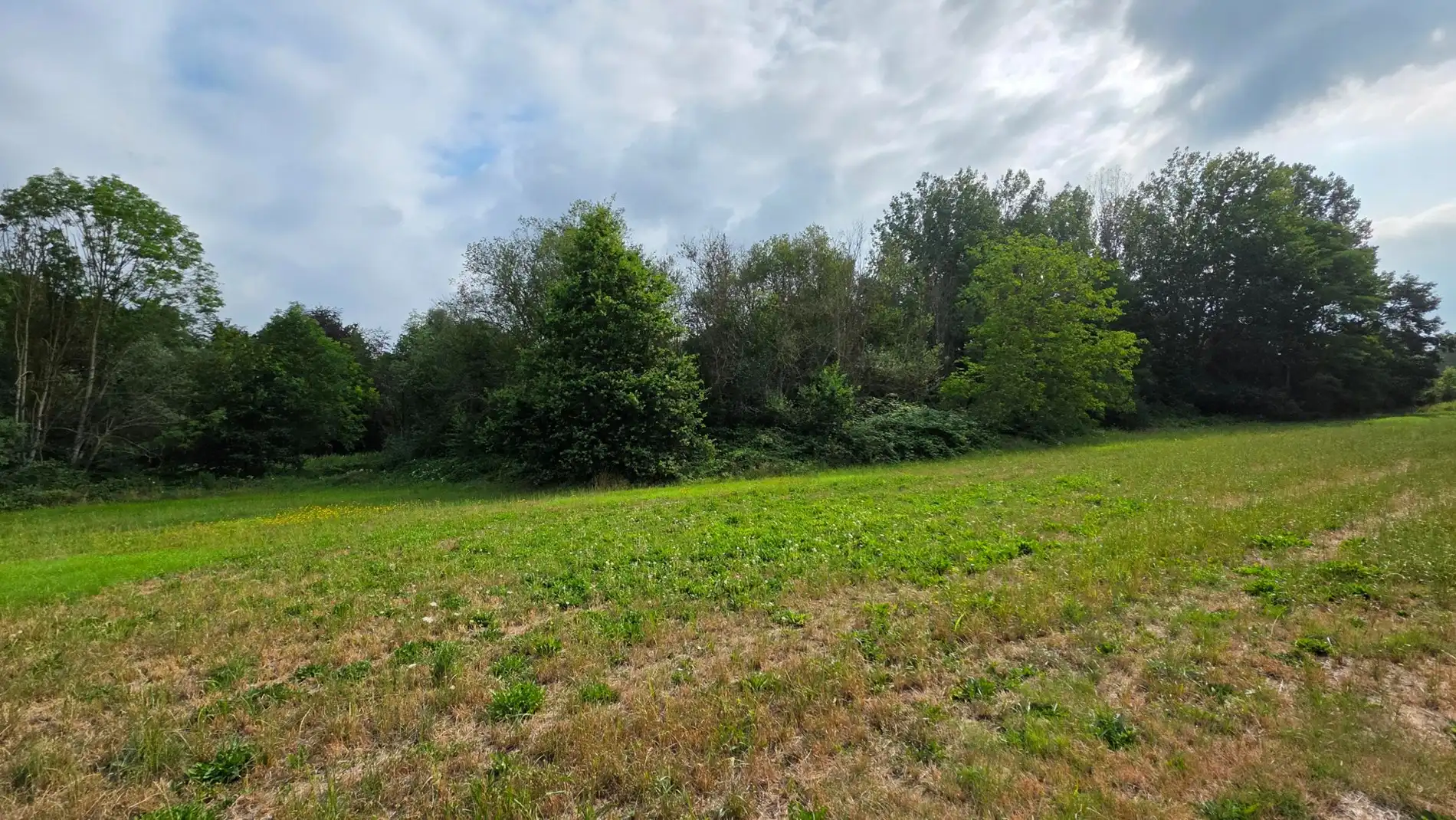 GROEN PERCEEL VAN 3.410 M² IN BETEKOM foto 6