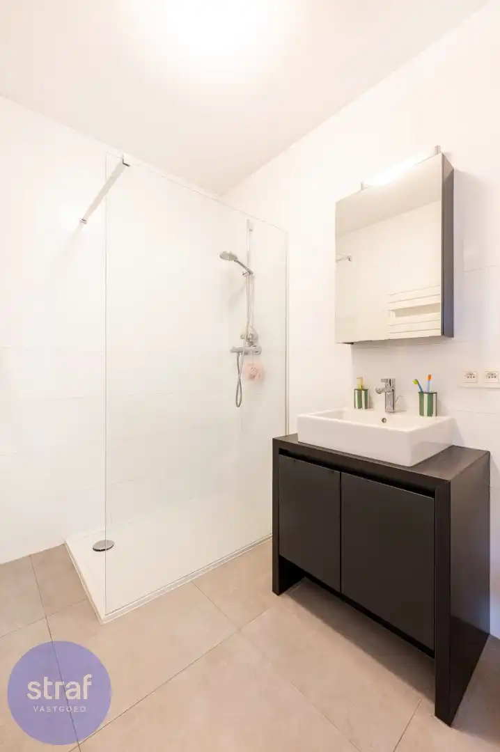 Twee slaapkamers, autostaanplaats, Galgenweel én hartje Antwerpen op één plek foto 11