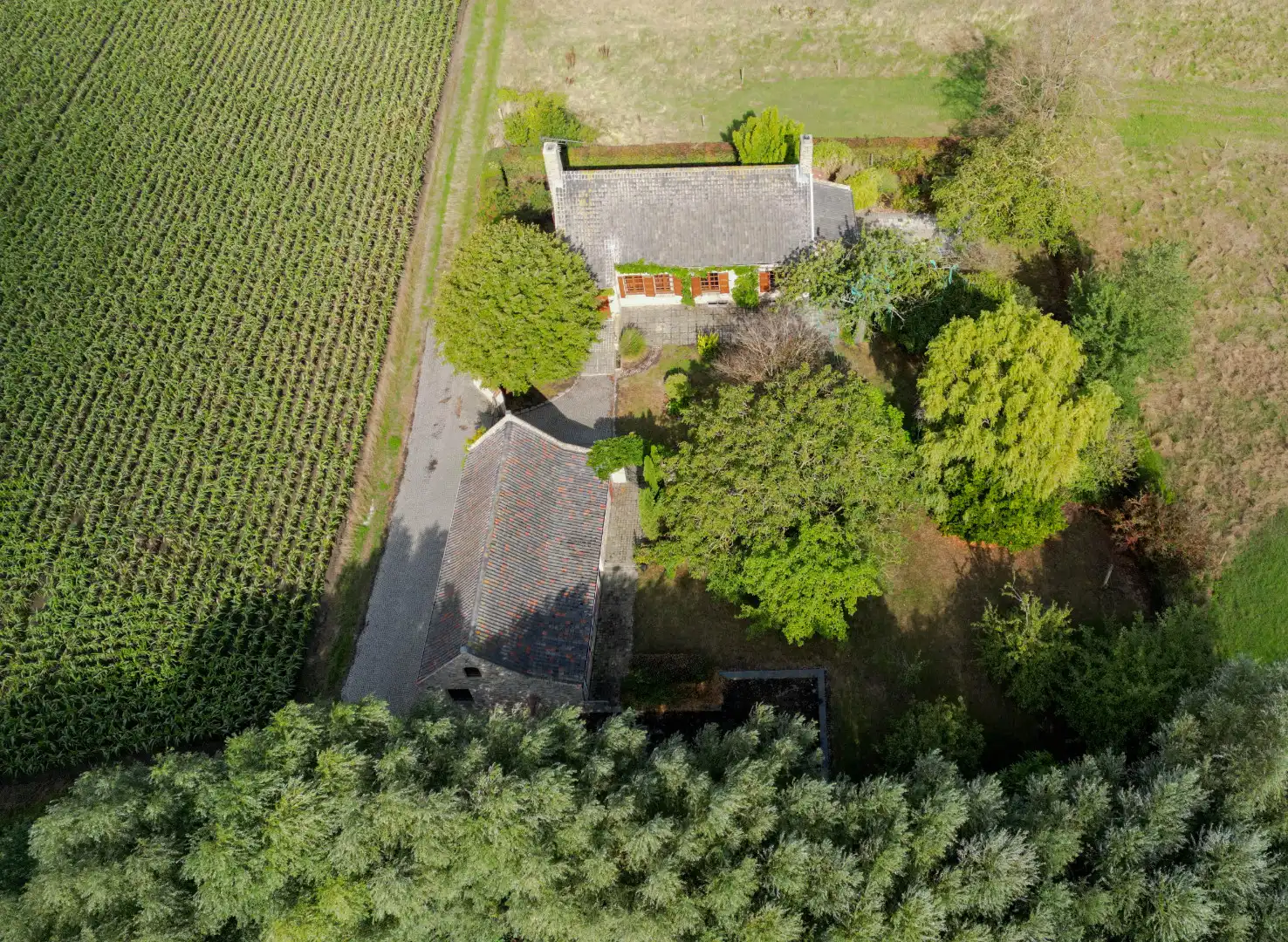 Landelijk wonen in alle rust op een bijzondere site foto 6