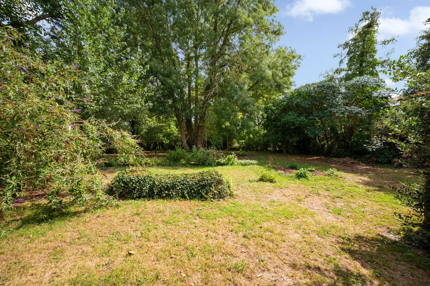 Open bebouwing in Linter met groot perceel en tuin foto 2