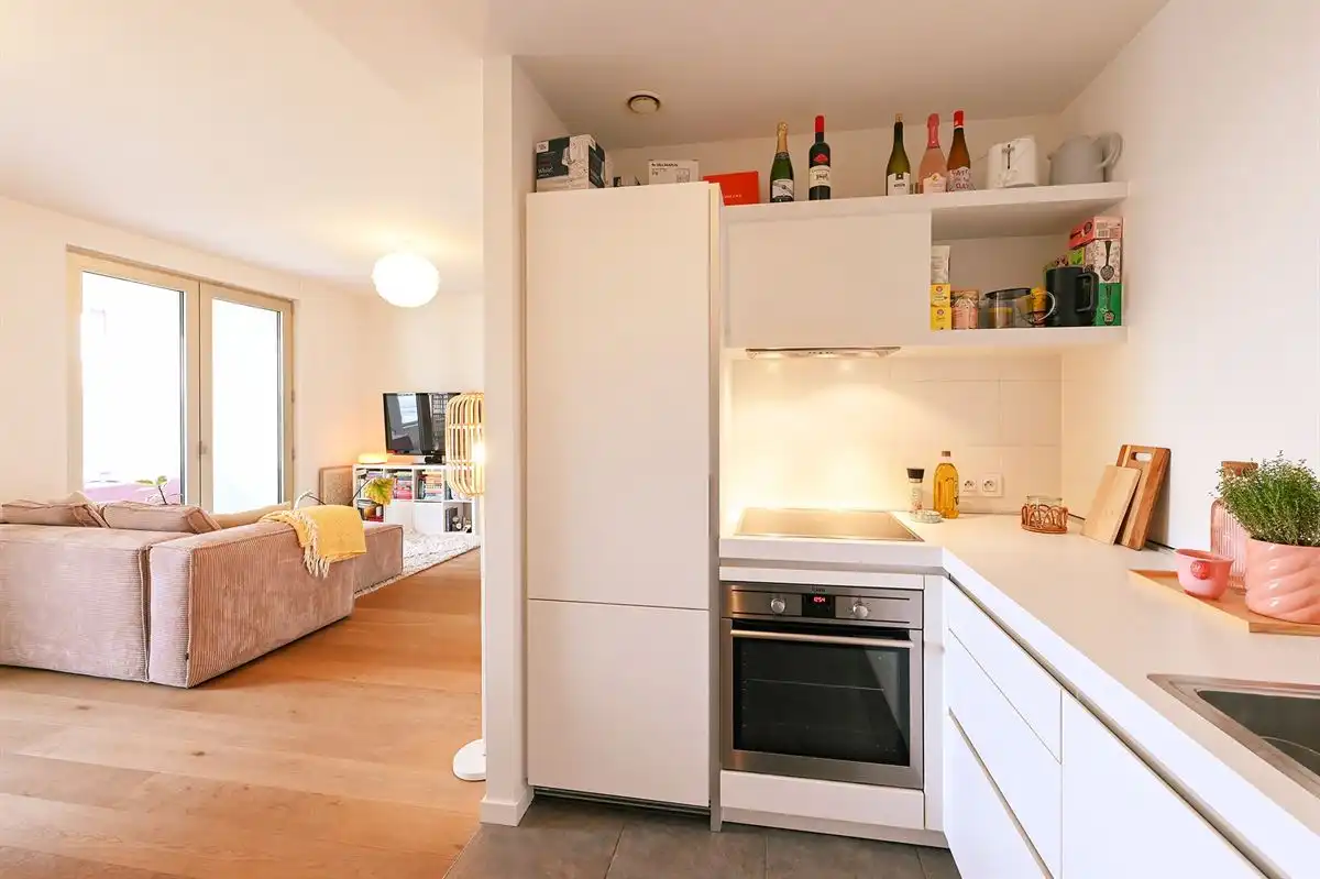 Instapklaar appartement met ruim terras op het Eilandje
 foto 5