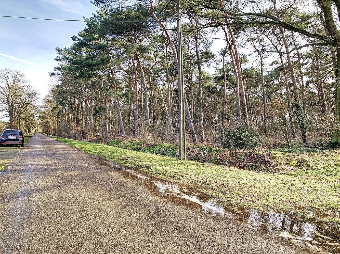 Perceel van 16.501m² aan de Kreyelerheide (bos in landschappelijk waardevol agrarisch gebied) foto 2