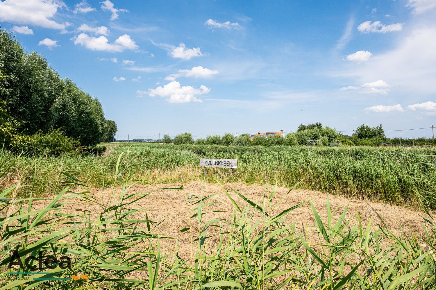 Unieke hoeve aan de Molenkreek in Sint-Margriete met vakantiewoningen en schuur foto 44