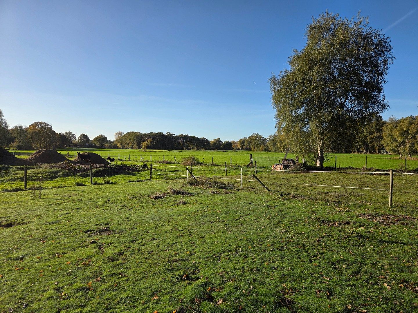 Woning met 3 slpks, schuur met 3 stallen en weiland op 2.288 m² nabij Geel-centrum ! foto 26