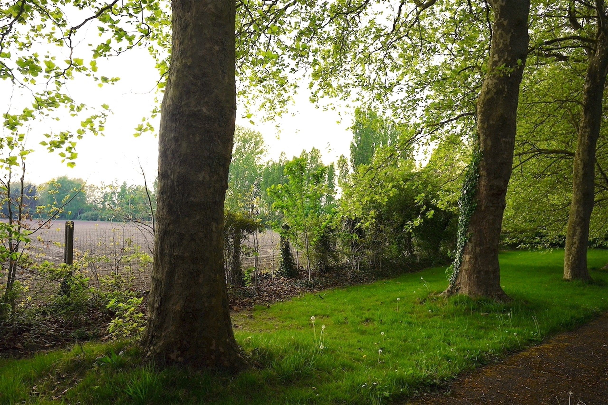 Majestueuze eigendom gelegen op een weelderig landgoed van ca. 1 ha! foto 4