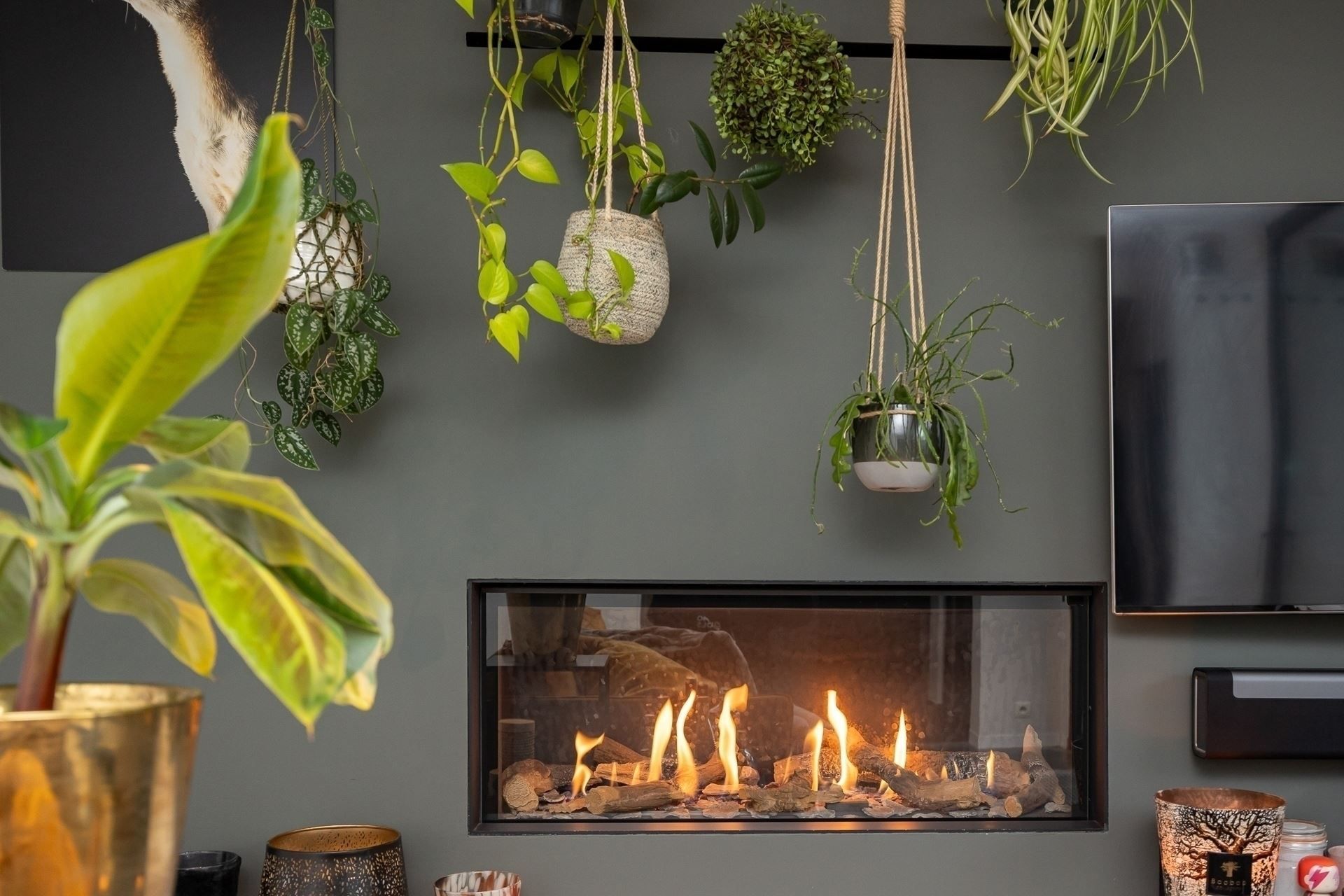 Unieke woonst met professionele ruimte! foto 8