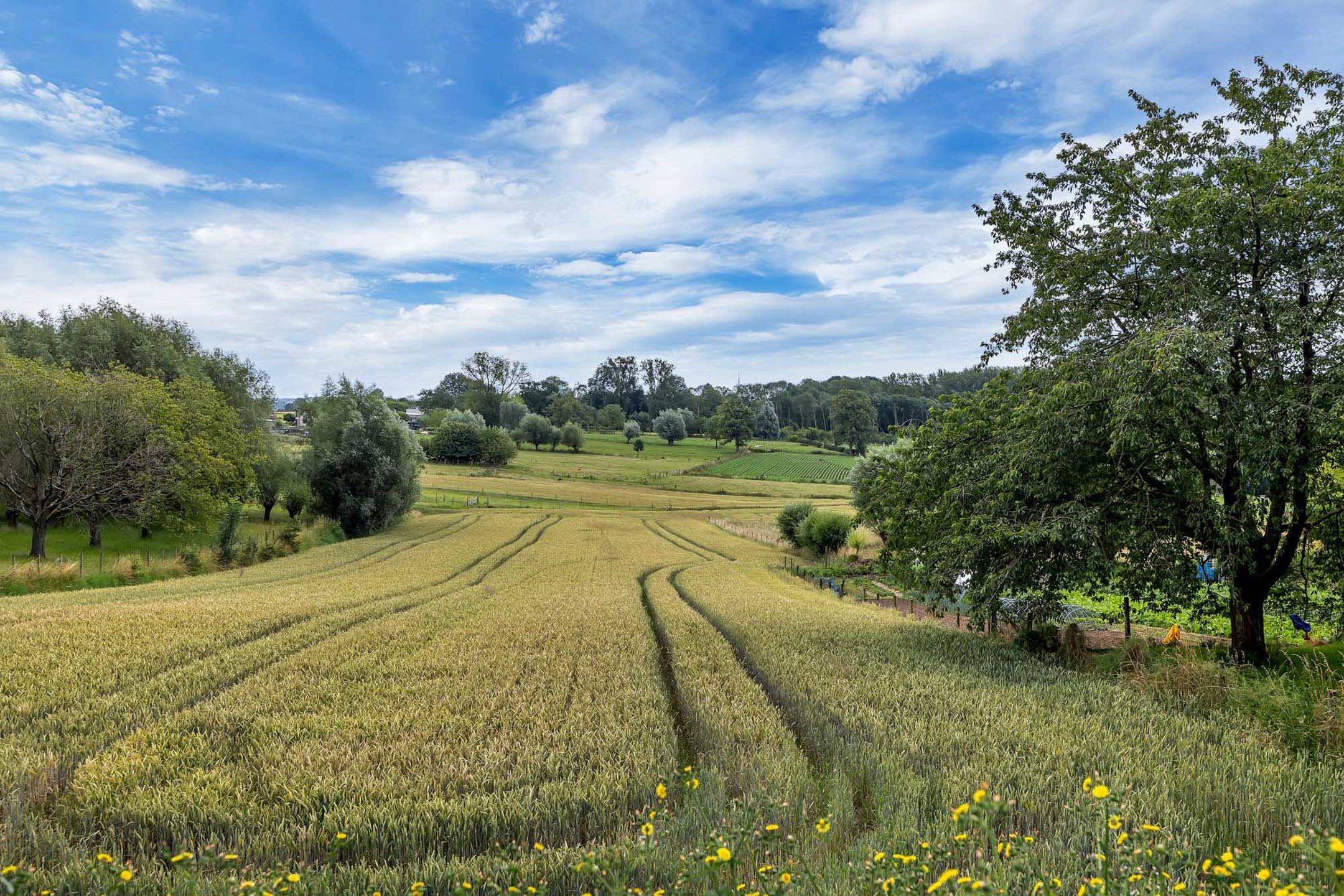 Prachtig gerenoveerde villa op toplocatie!  foto 4