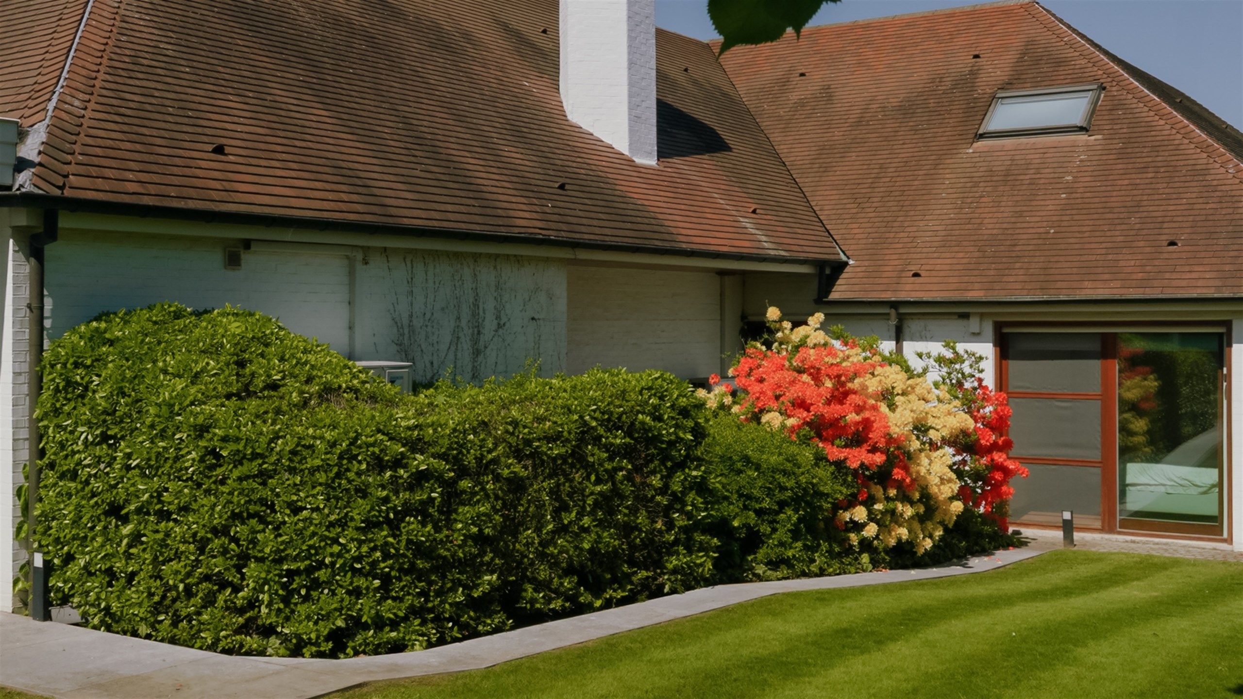 Indrukwekkend Vastgoed op 3.667 m² met dubbele garage foto 10