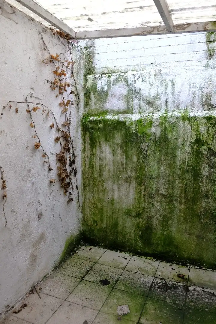 Te renoveren woning met 4 slaapkamers centrum Zottegem foto 16