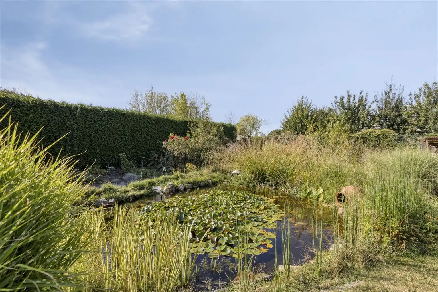 Karaktervolle, vrijstaande woning met 4 slaapkamers, veranda, dubbele garage, volledig onderkelderd op een perceel van 17a48ca, centraal gelegen bij het centrum. foto 35