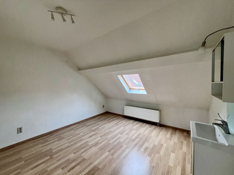 RIJWONING MET VIER SLAAPKAMERS EN GEPLAVEIDE KOER foto 11