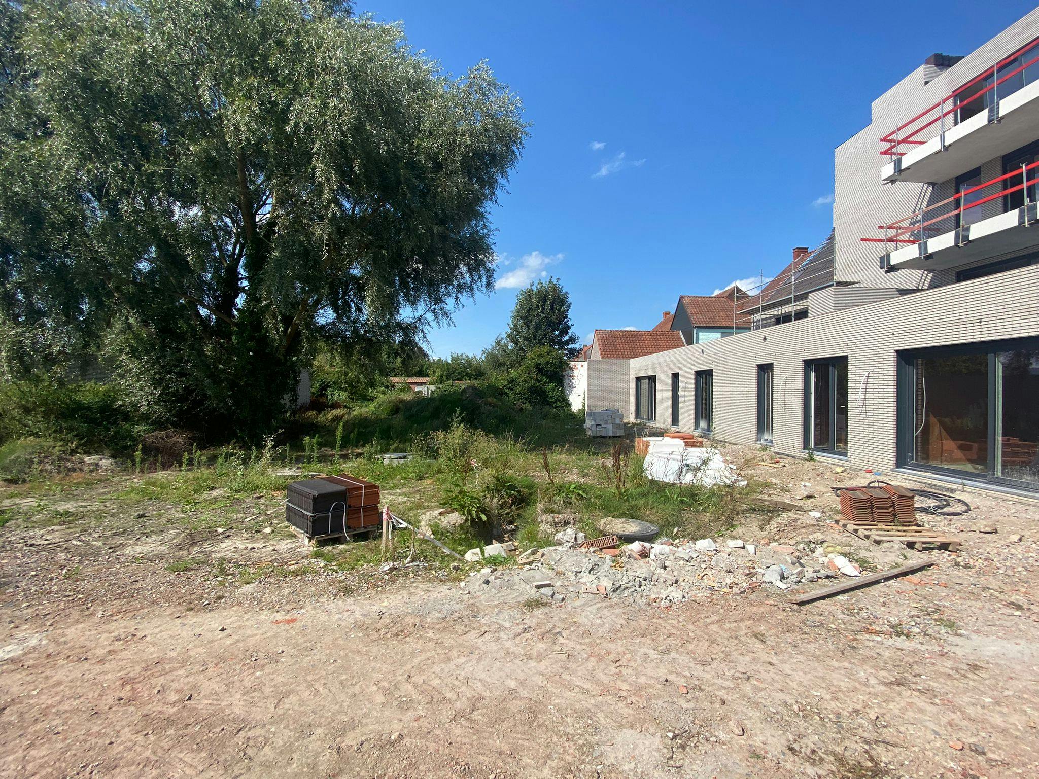 Albert & Jerome te koop in Desselgem foto 6