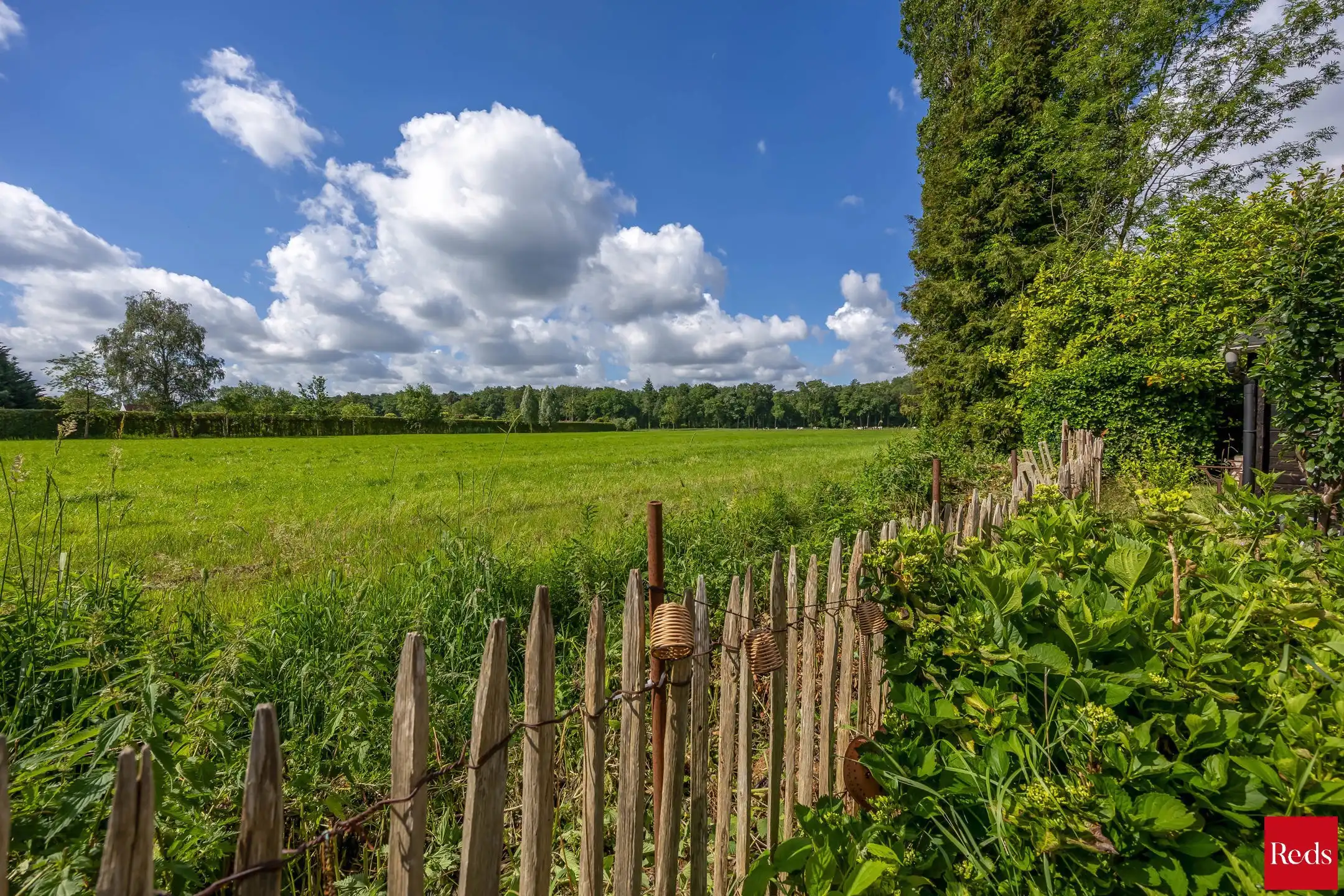 Investeringseigendom op toplocatie in Schilde foto 23