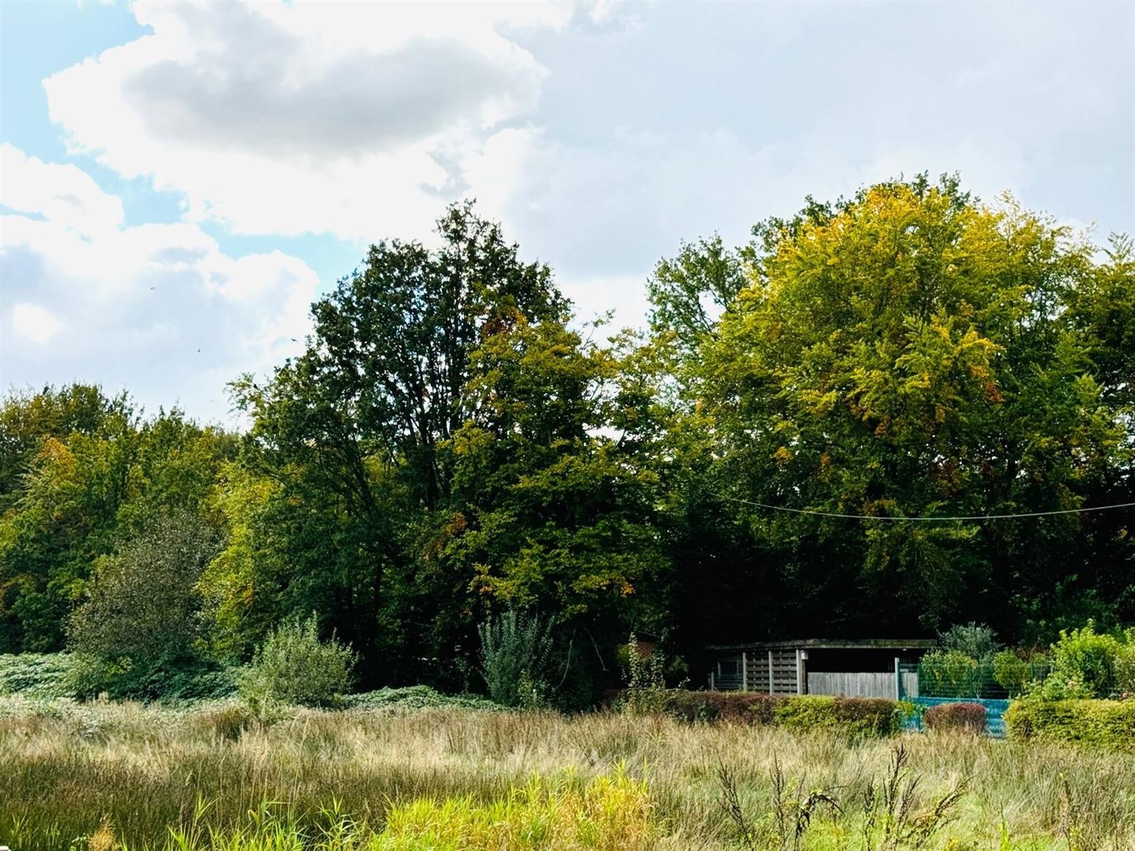 Nieuwbouw BEN woning aan natuurgebied FORT VAN MERKSEM  foto 9