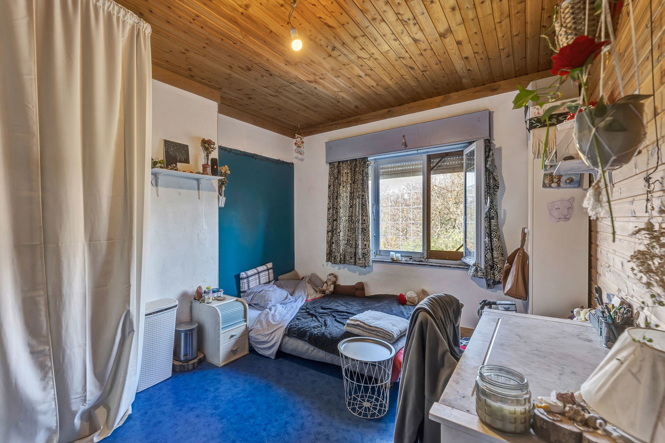 Woning met loods en 510 m² bewoonbare oppervlakte in Velzeke foto 13