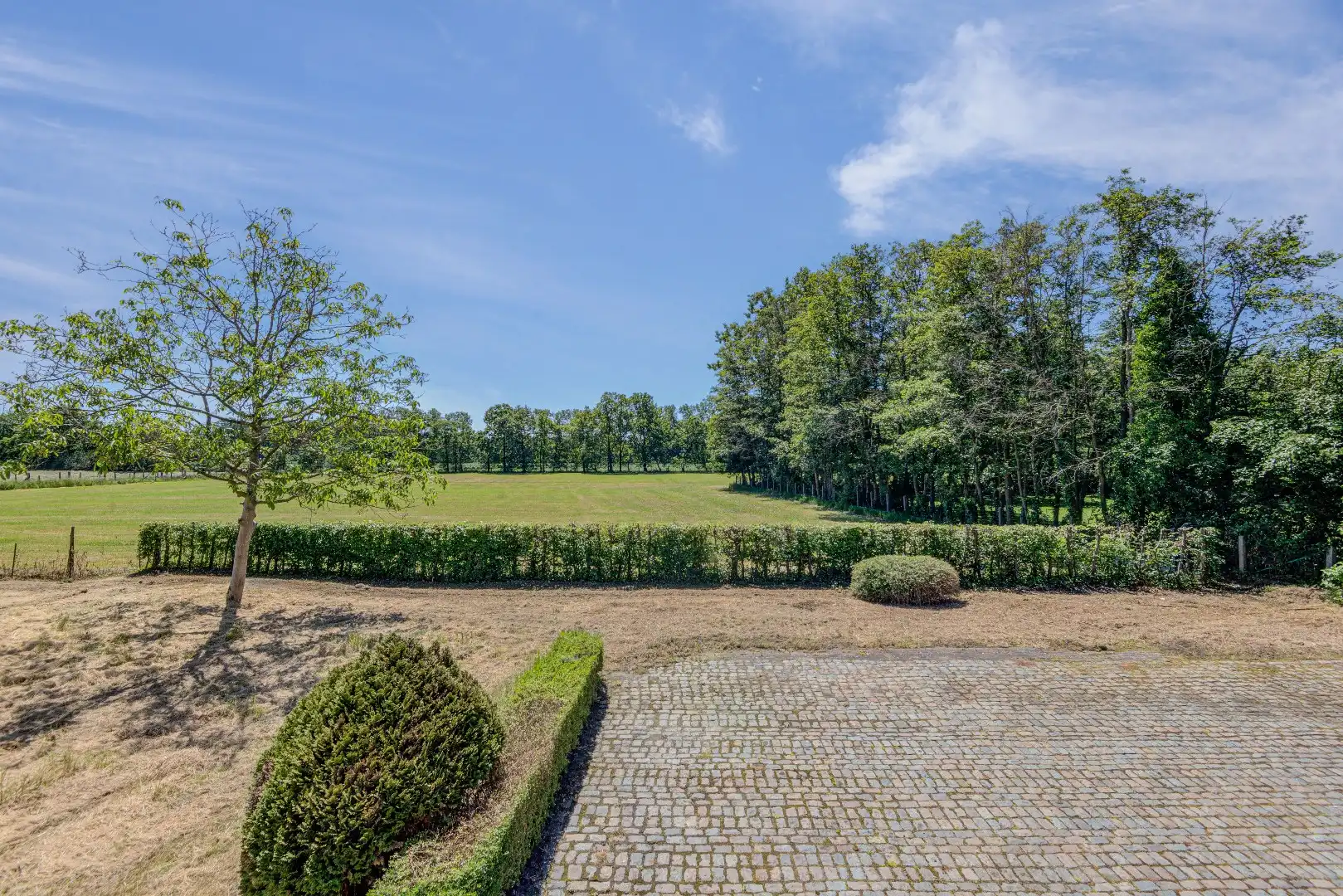 Ruime villa met 5 slaapkamers en grote tuin foto 10